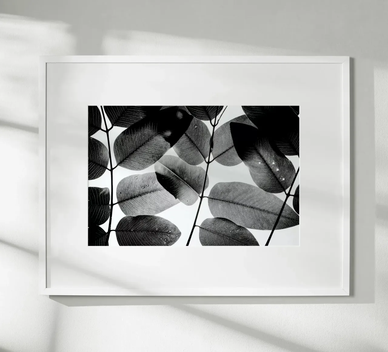 Experiments with Leaves 1 poster da Tal Paz-Fridman