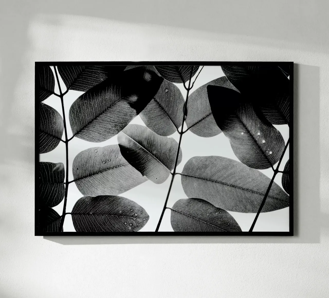 Experiments with Leaves 1 poster da Tal Paz-Fridman