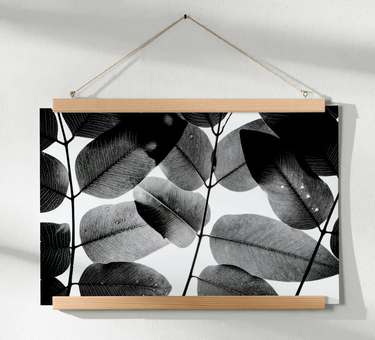 Experiments with Leaves 1 poster da Tal Paz-Fridman