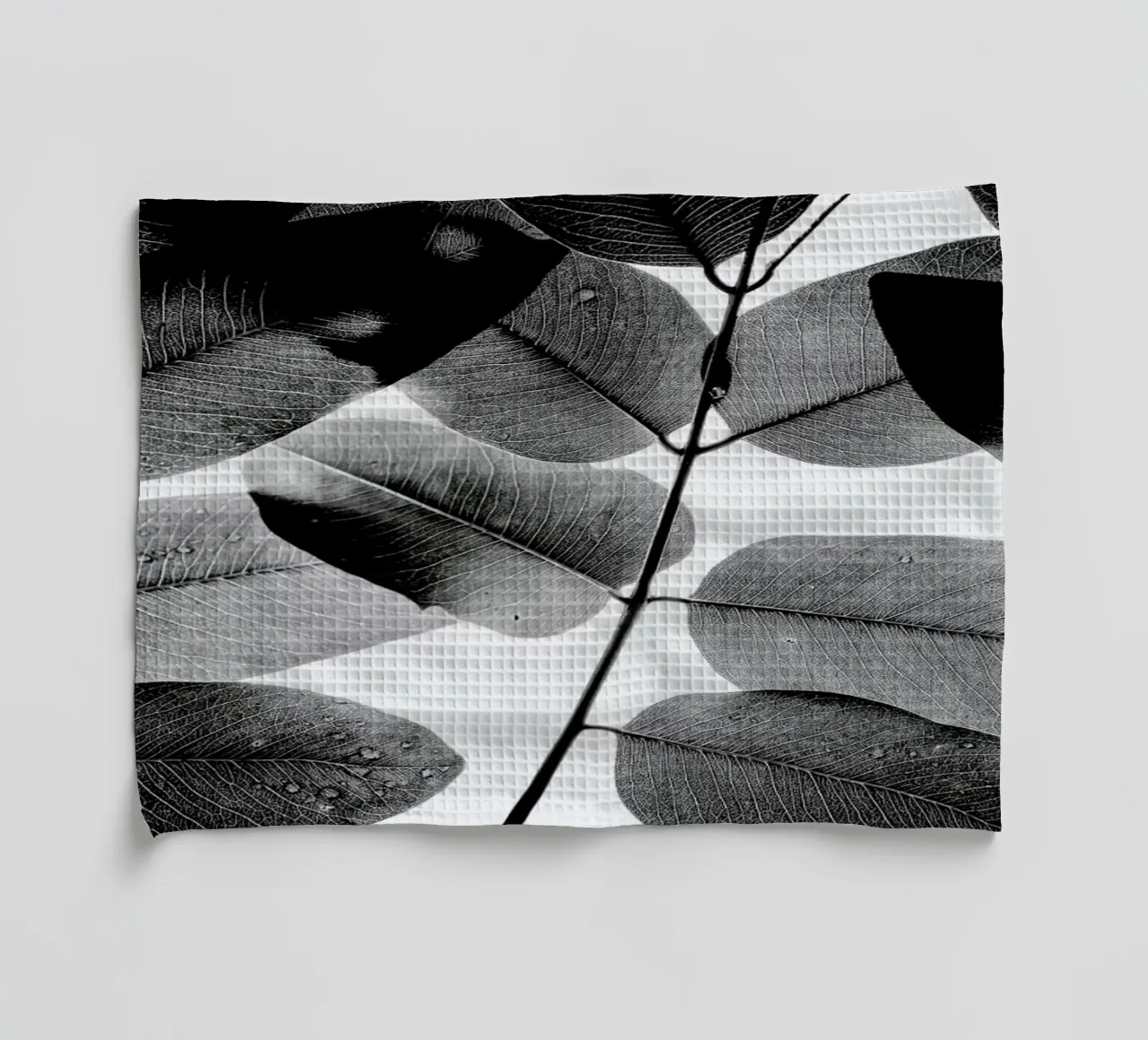 Experiments with Leaves 1 theedoek van Tal Paz-Fridman