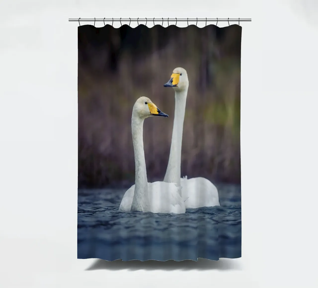 Cigni di mare tenda da doccia da Tom's Wildlife