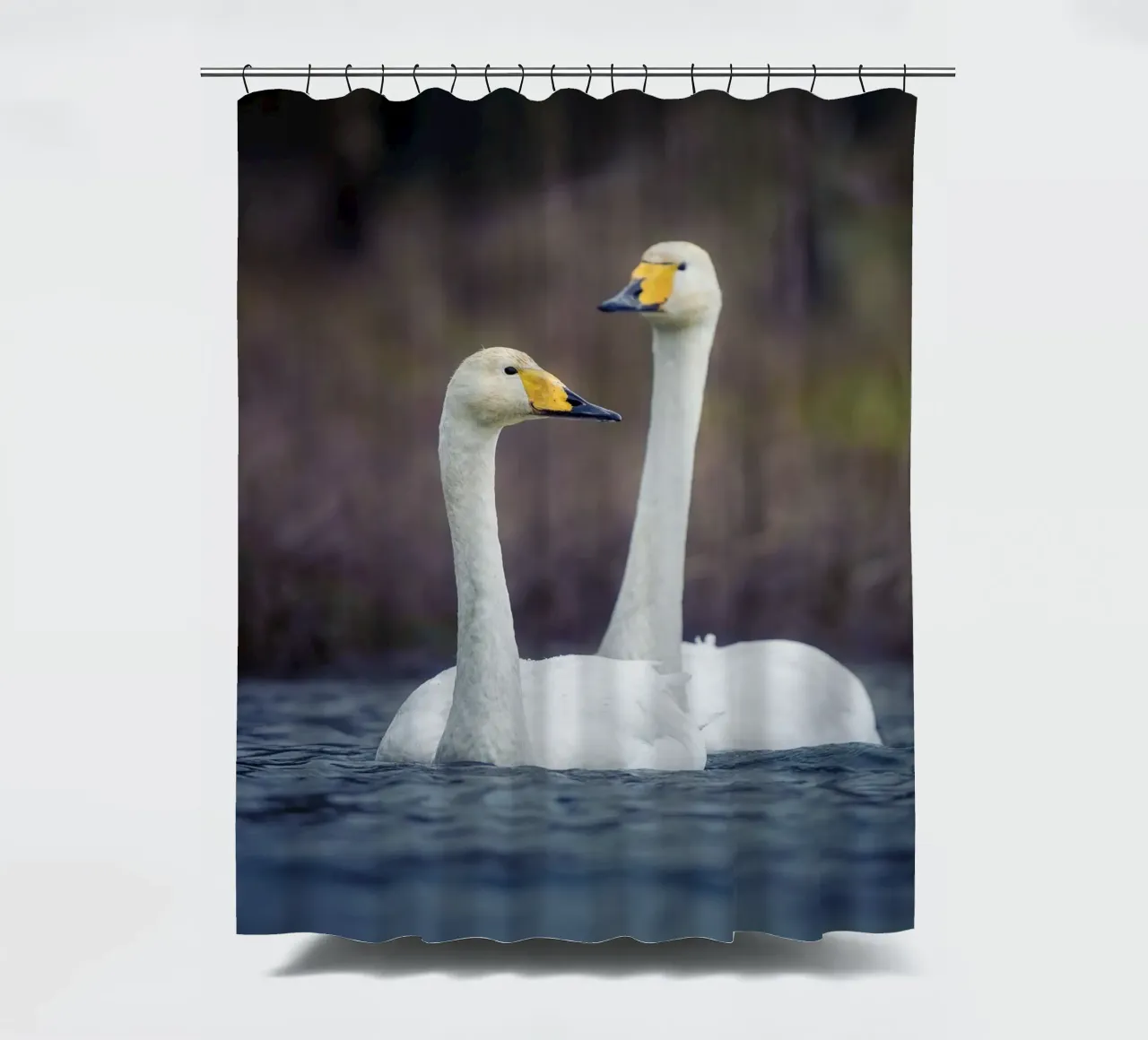 Cigni di mare tenda da doccia da Tom's Wildlife