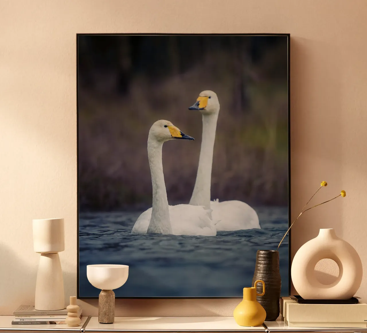Cigni di mare alluminio dibond da Tom's Wildlife
