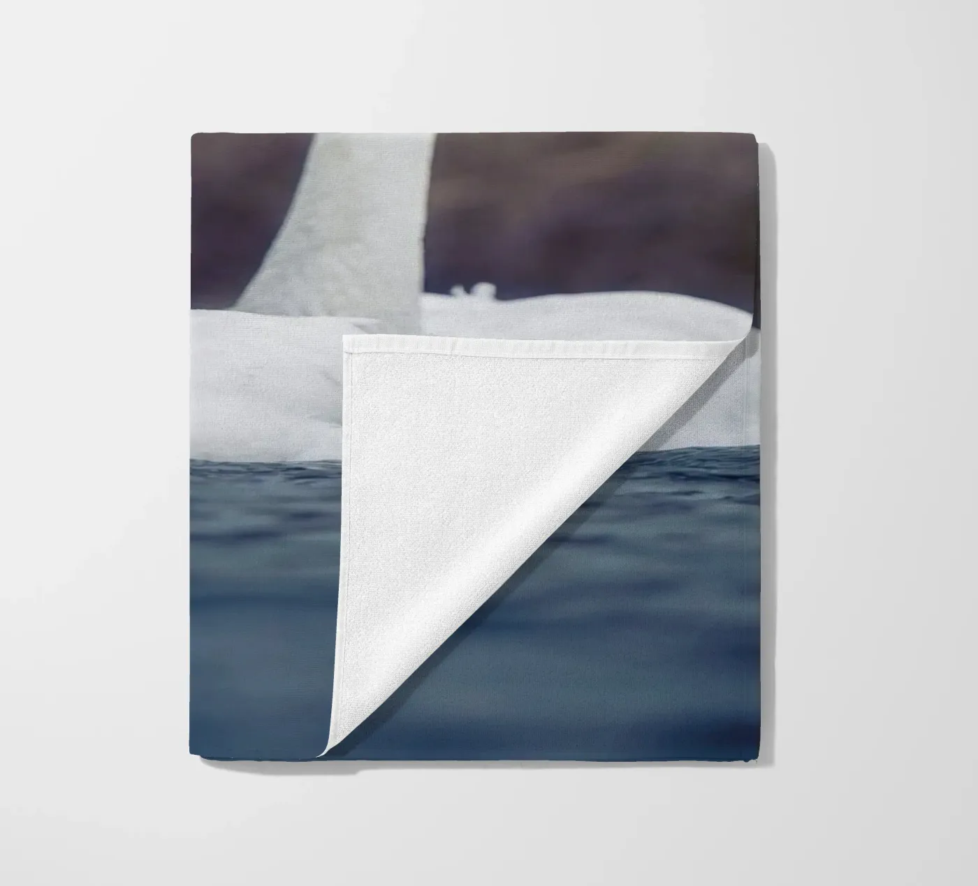 Cigni di mare telo mare da Tom's Wildlife