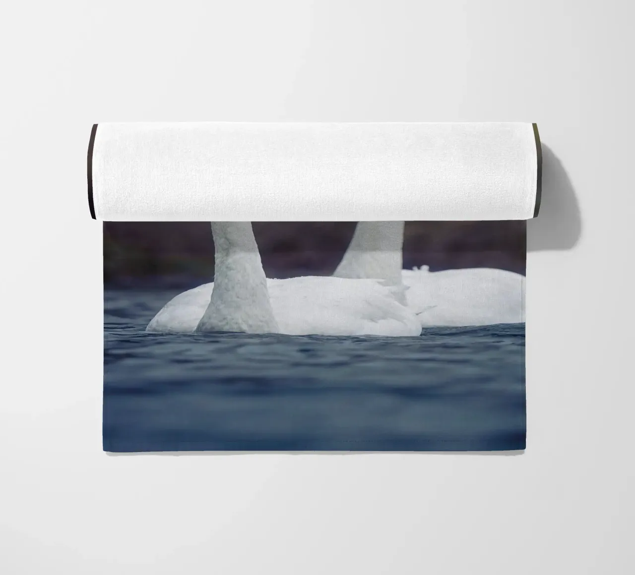 Cigni di mare telo mare da Tom's Wildlife