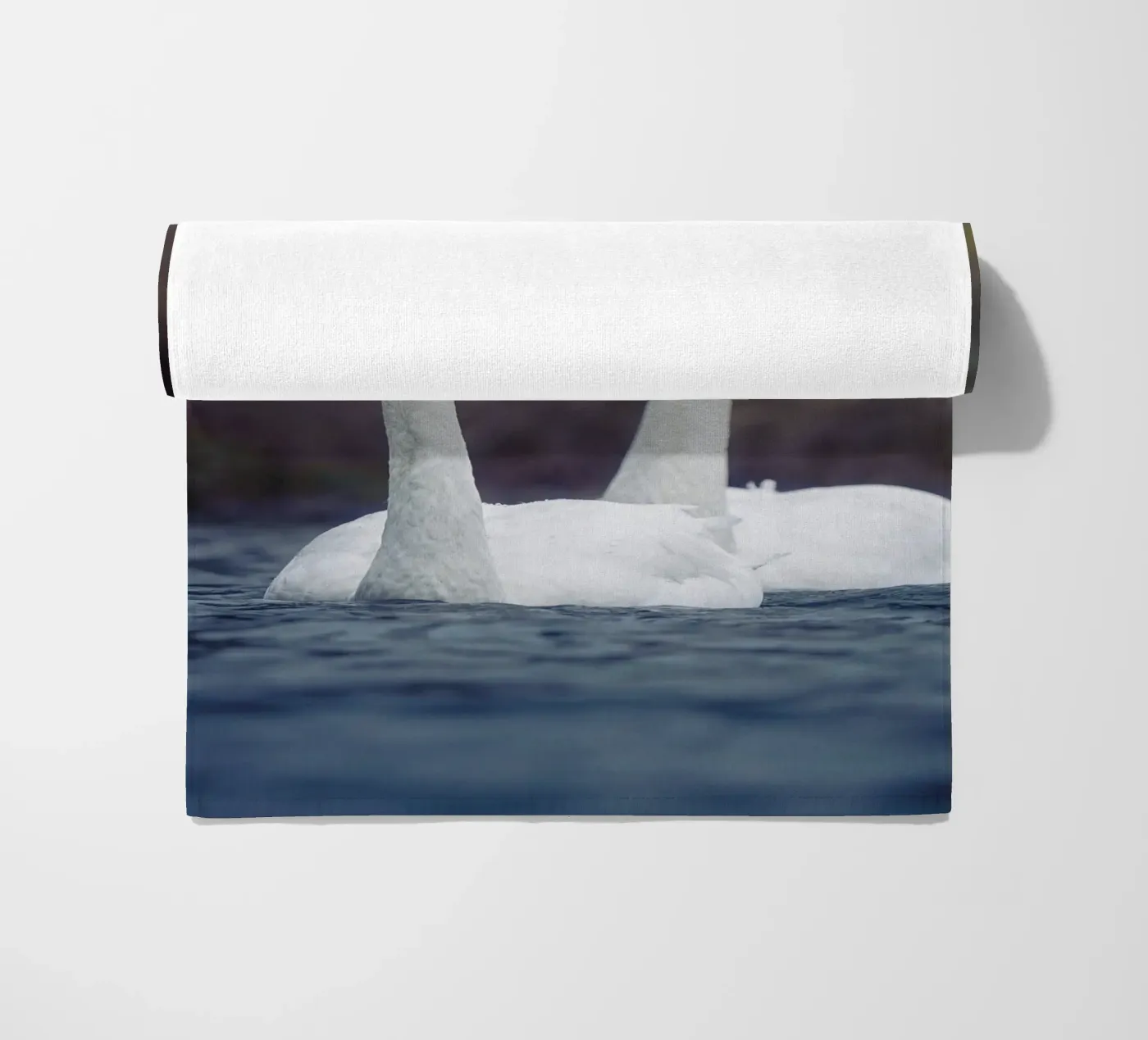 Cigni di mare telo mare da Tom's Wildlife