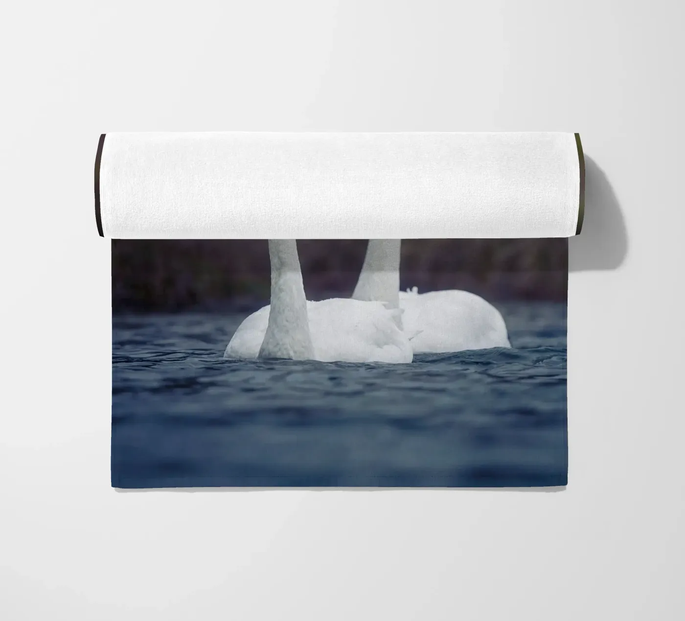 Cigni di mare telo mare da Tom's Wildlife