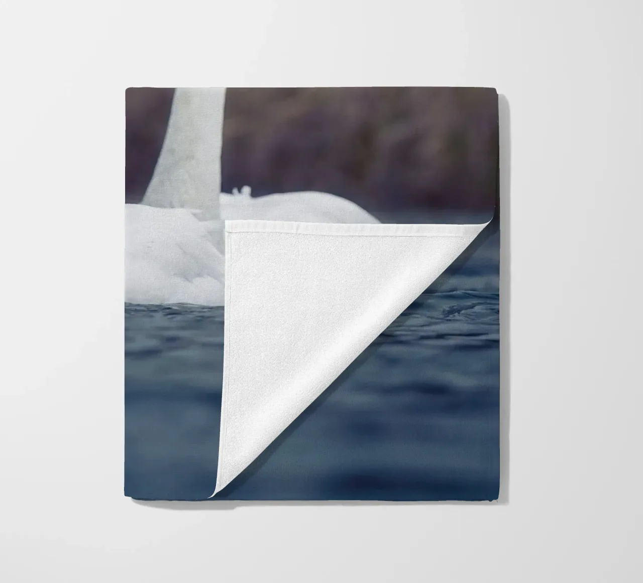 Cigni di mare telo mare da Tom's Wildlife