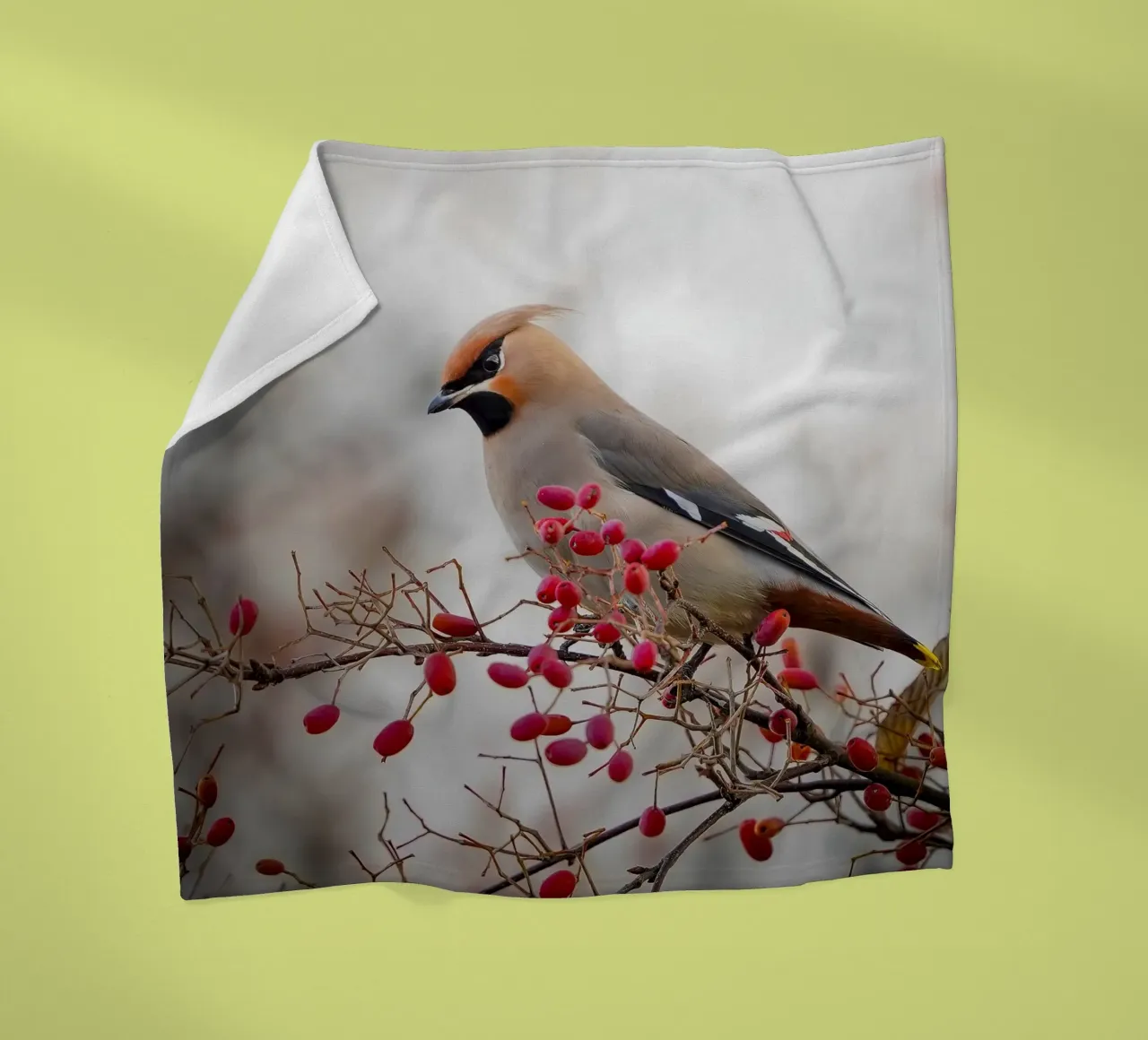 La pavoncella in inverno coperta in pile da Tom's Wildlife