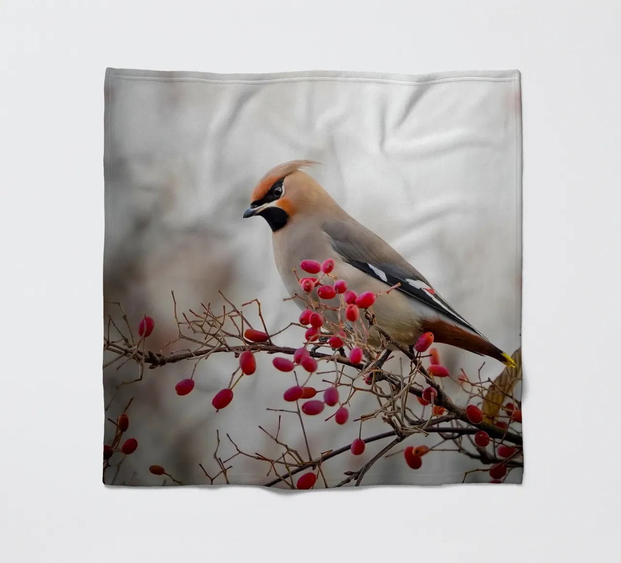 La pavoncella in inverno coperta in pile da Tom's Wildlife