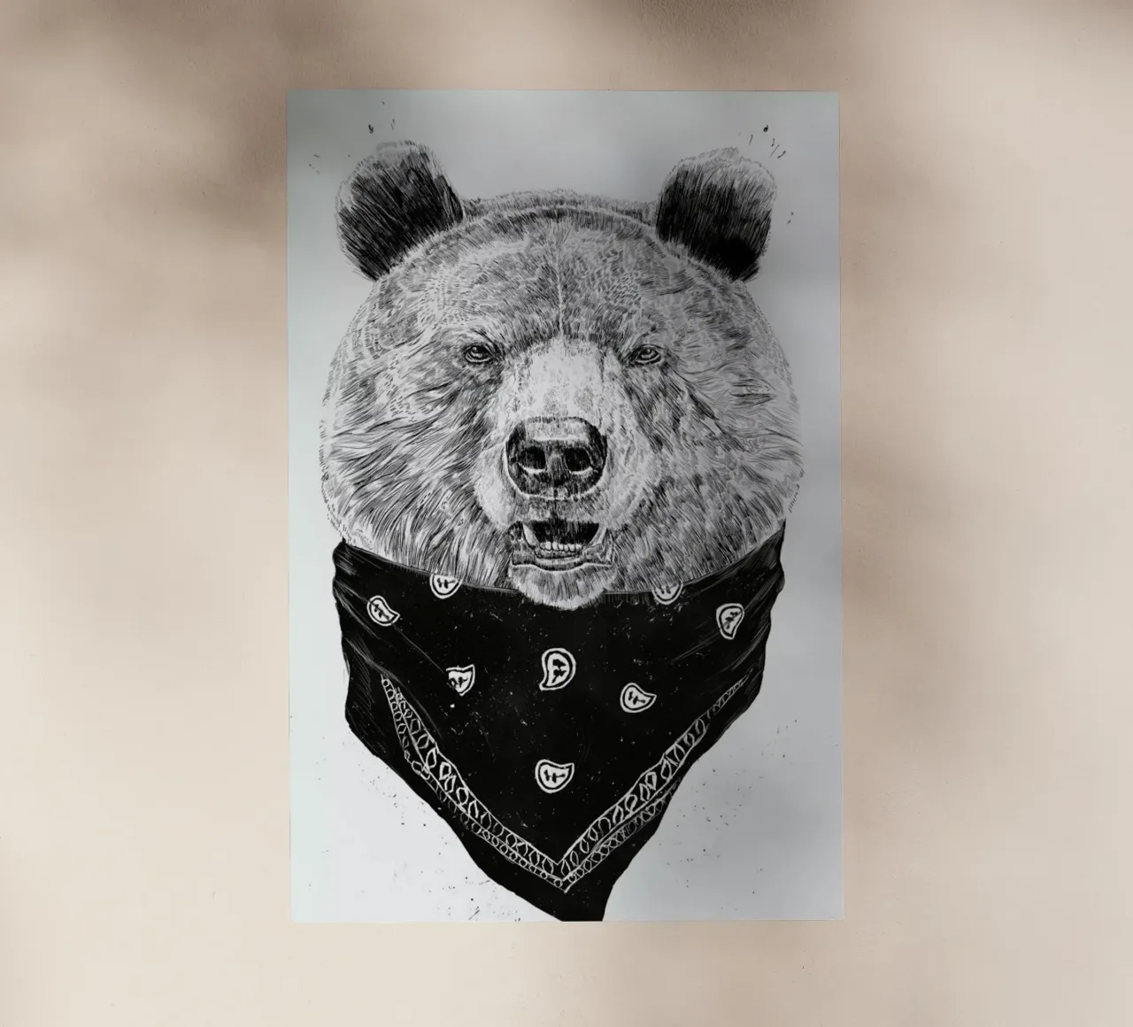 Wild Bear pellicola backlit da Balazs Solti