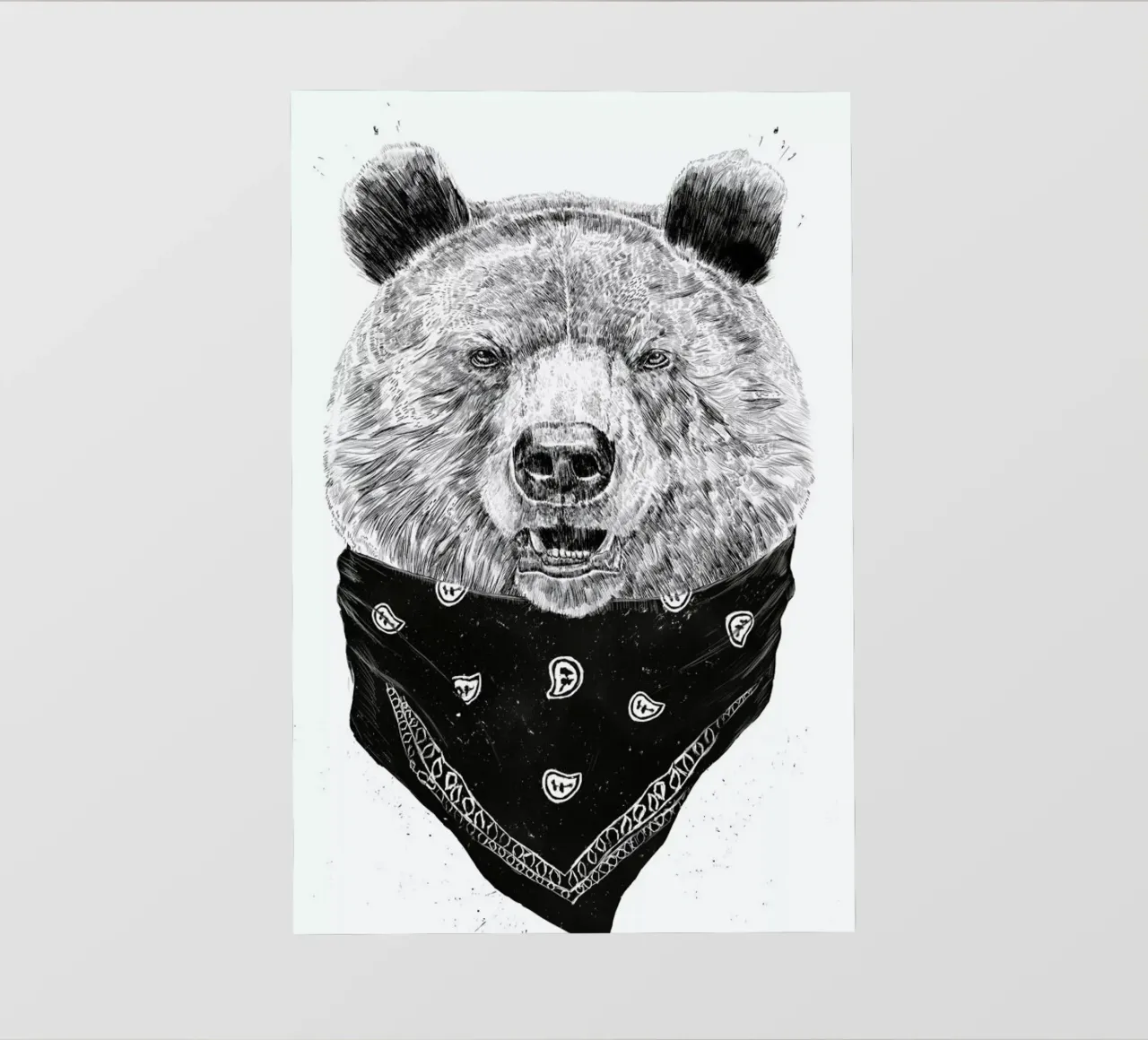 Wild Bear pellicola backlit da Balazs Solti