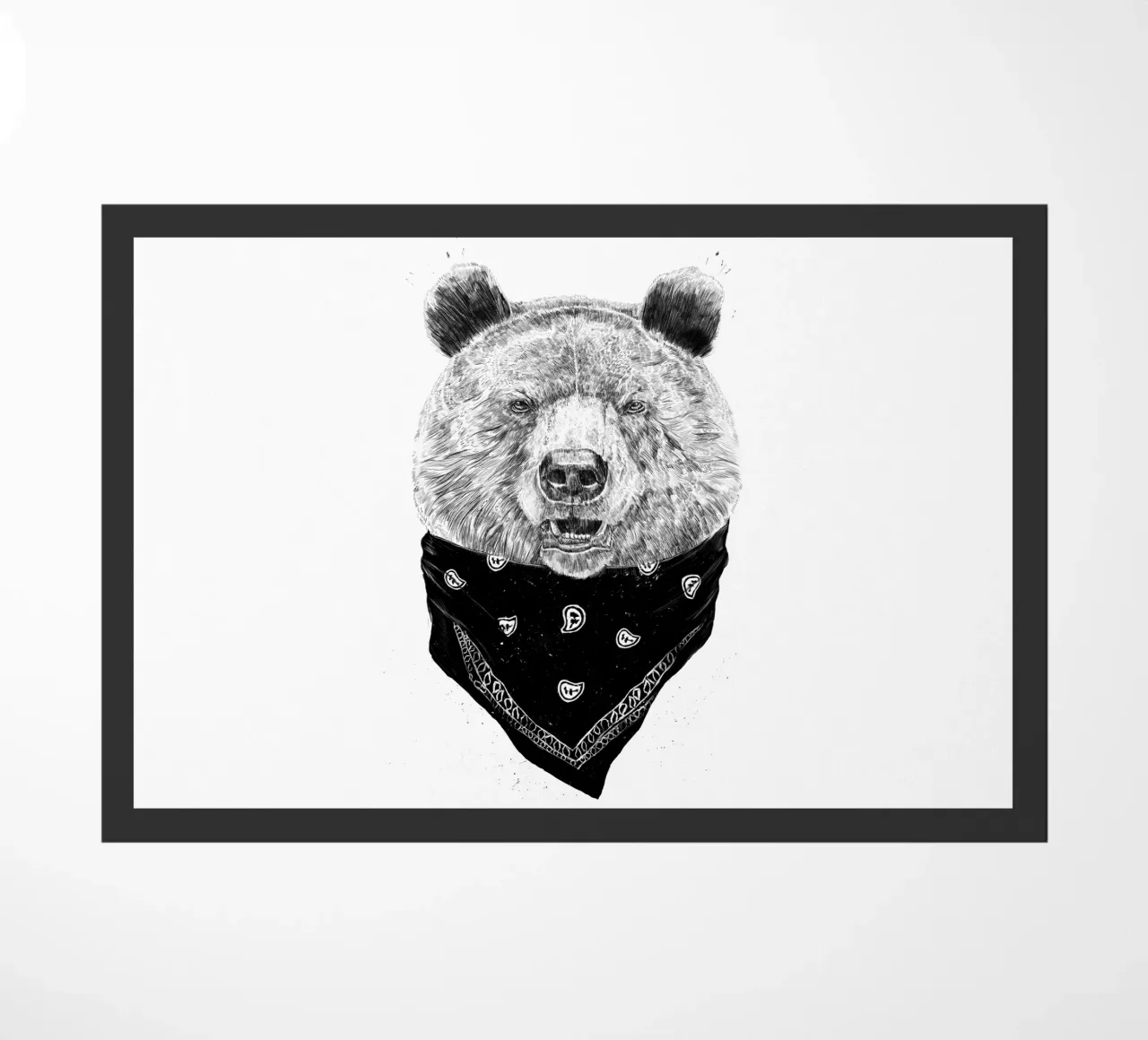 Wild Bear zerbino da Balazs Solti