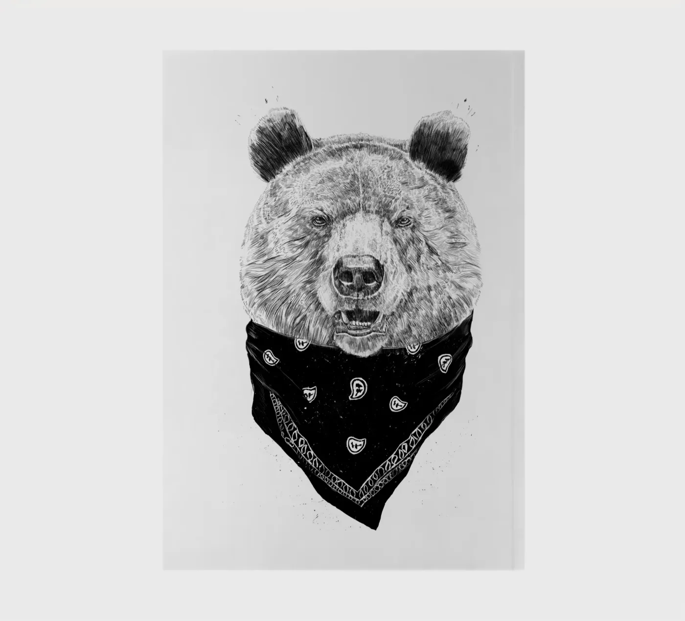 Wild Bear notebook by Balazs Solti