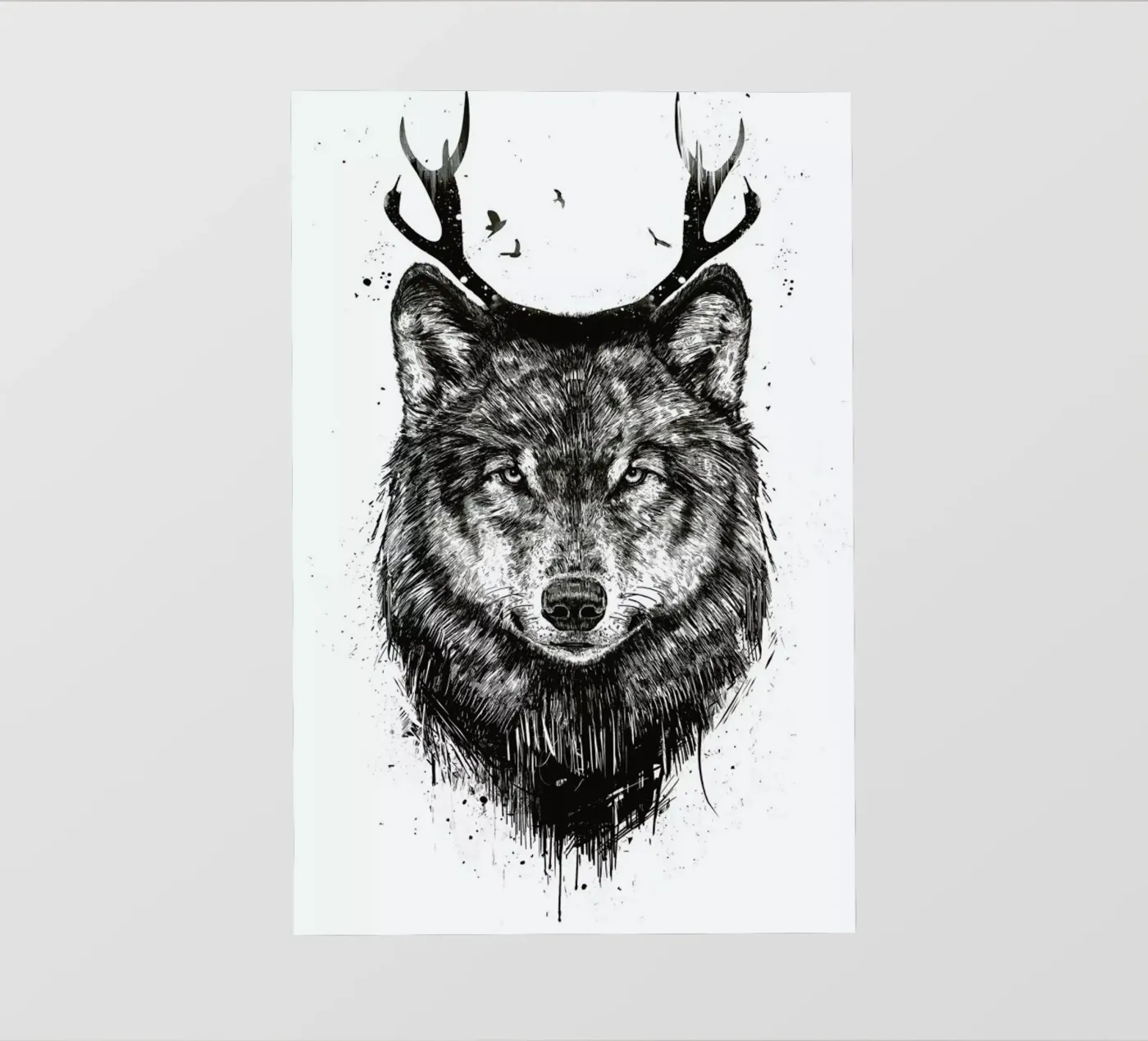 Deer Wolf pellicola backlit da Balazs Solti