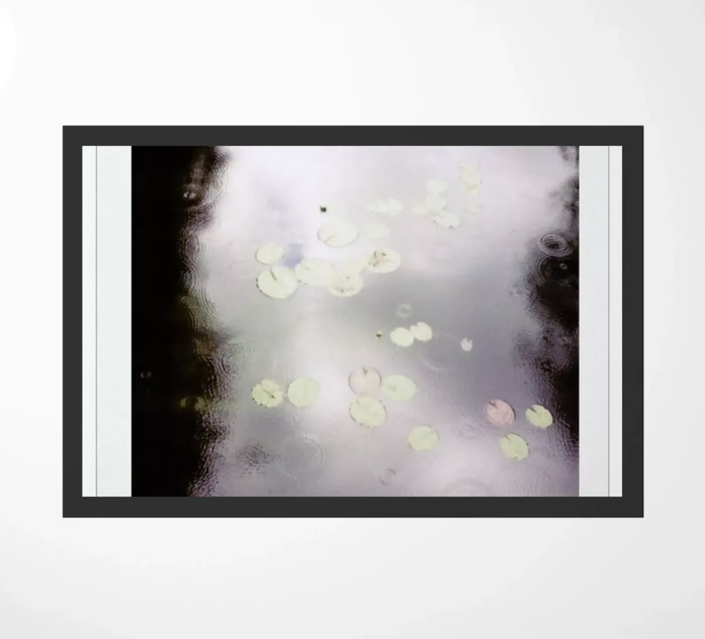 See rose zerbino da Lou Garoup