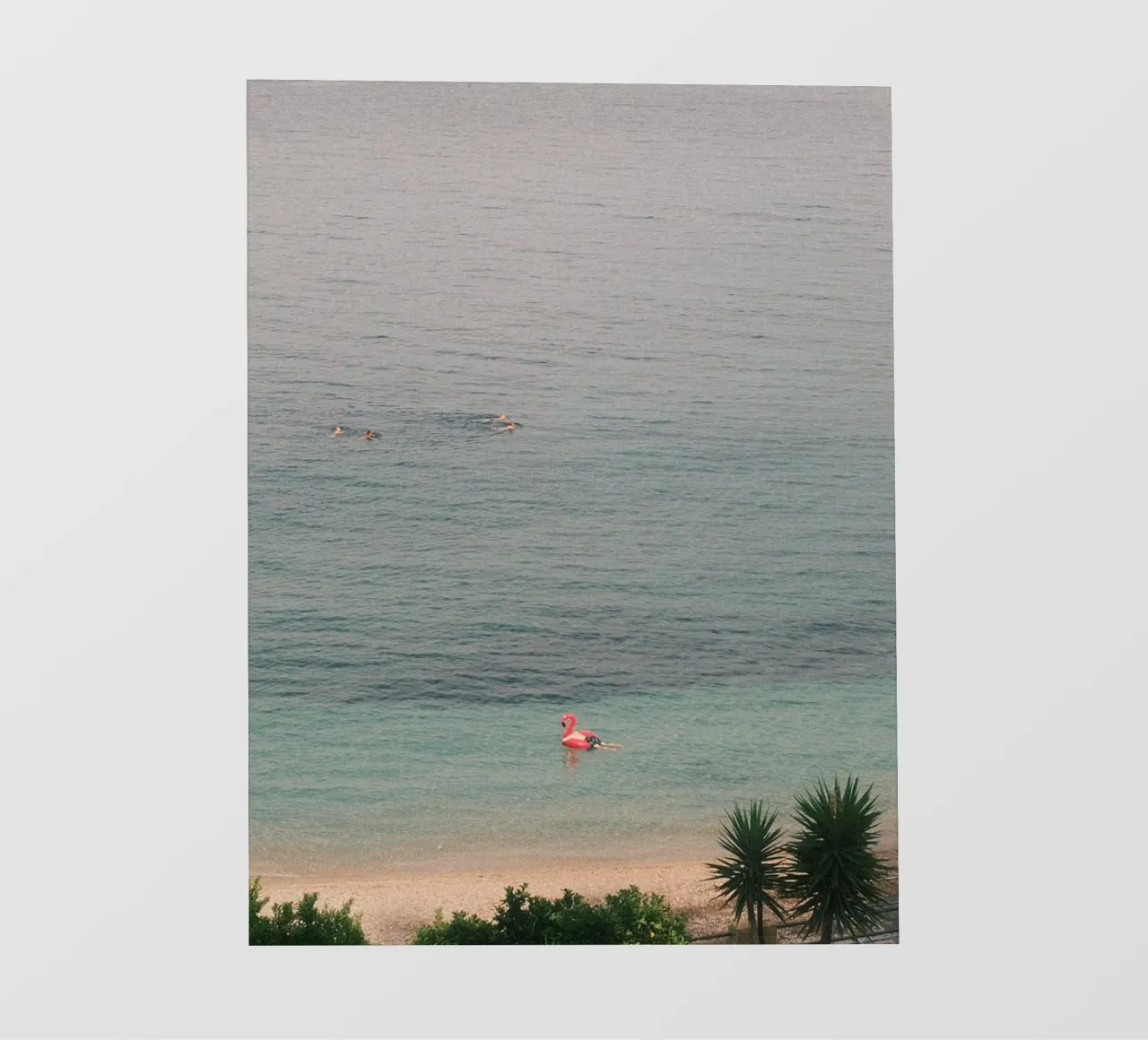 Pink Flamingo Float pellicola backlit da FujiPrints