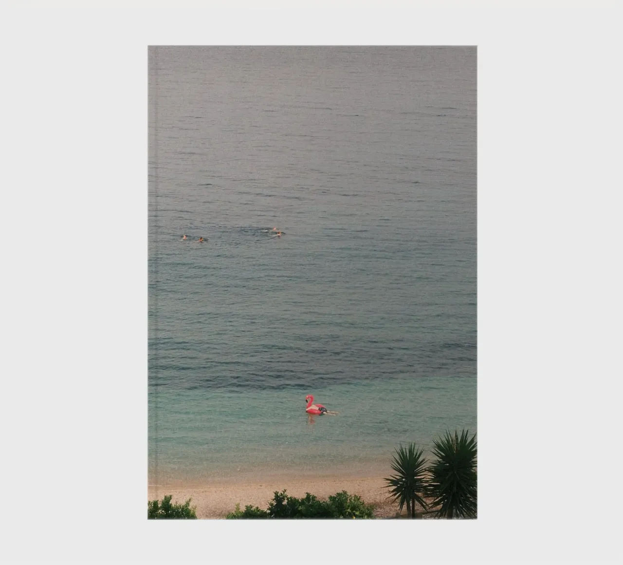 Pink Flamingo Float diario da FujiPrints
