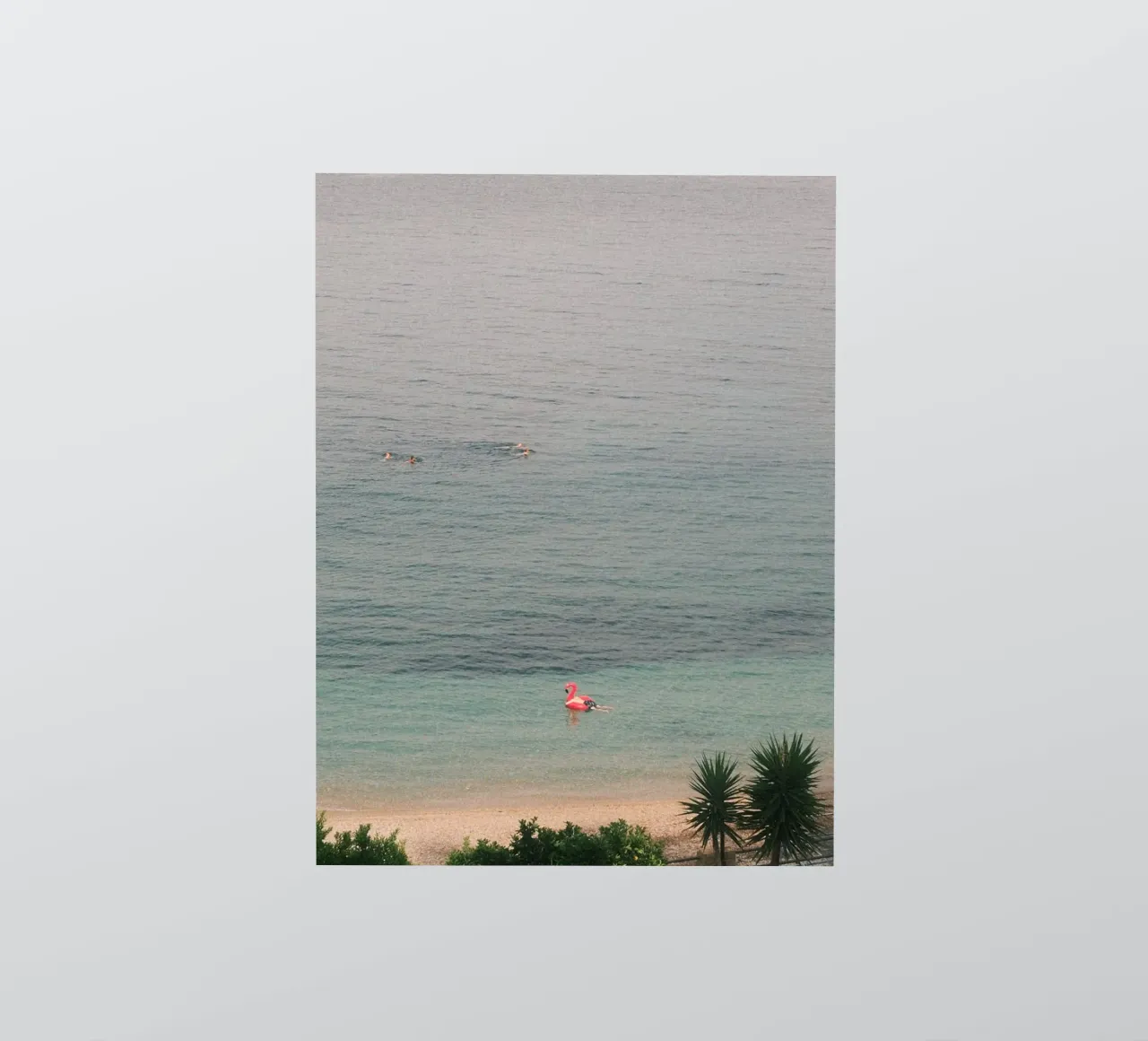 Pink Flamingo Float adesivo da FujiPrints
