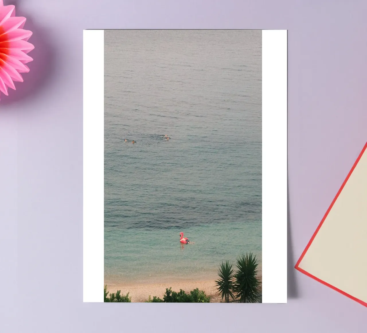 Pink Flamingo Float foglio adesivo da FujiPrints
