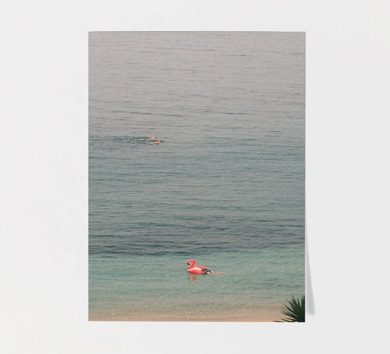 Pink Flamingo Float foglio adesivo da FujiPrints