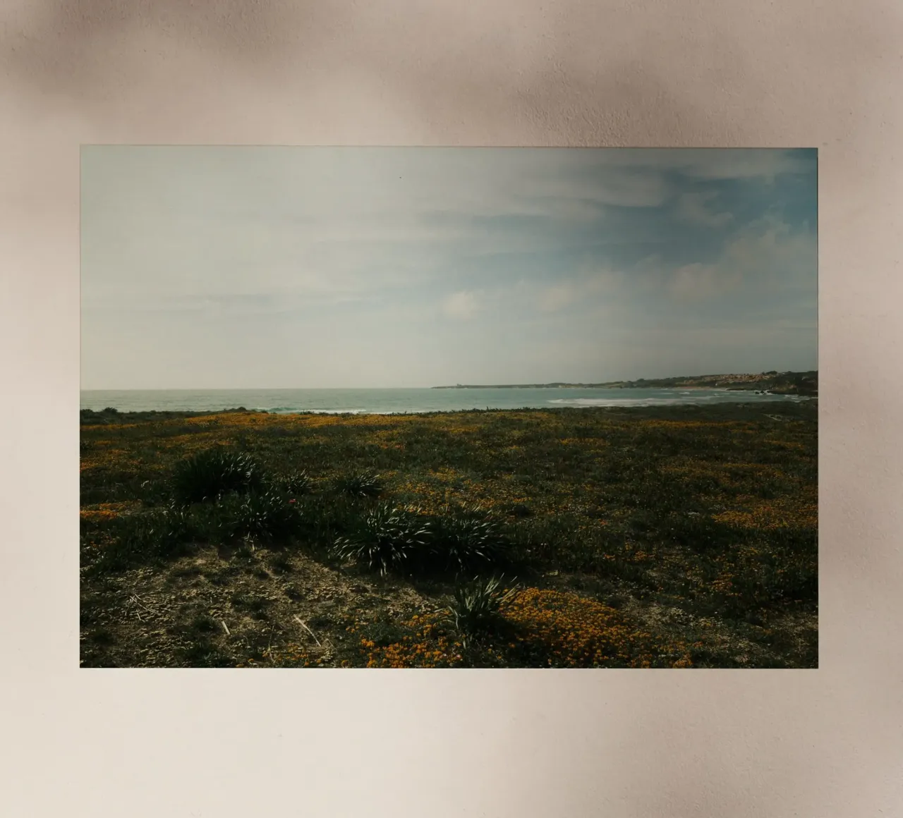 Golden Fields pellicola backlit da FujiPrints