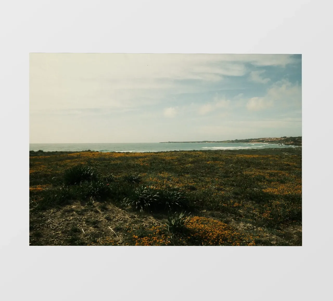 Golden Fields telo in pvc da FujiPrints