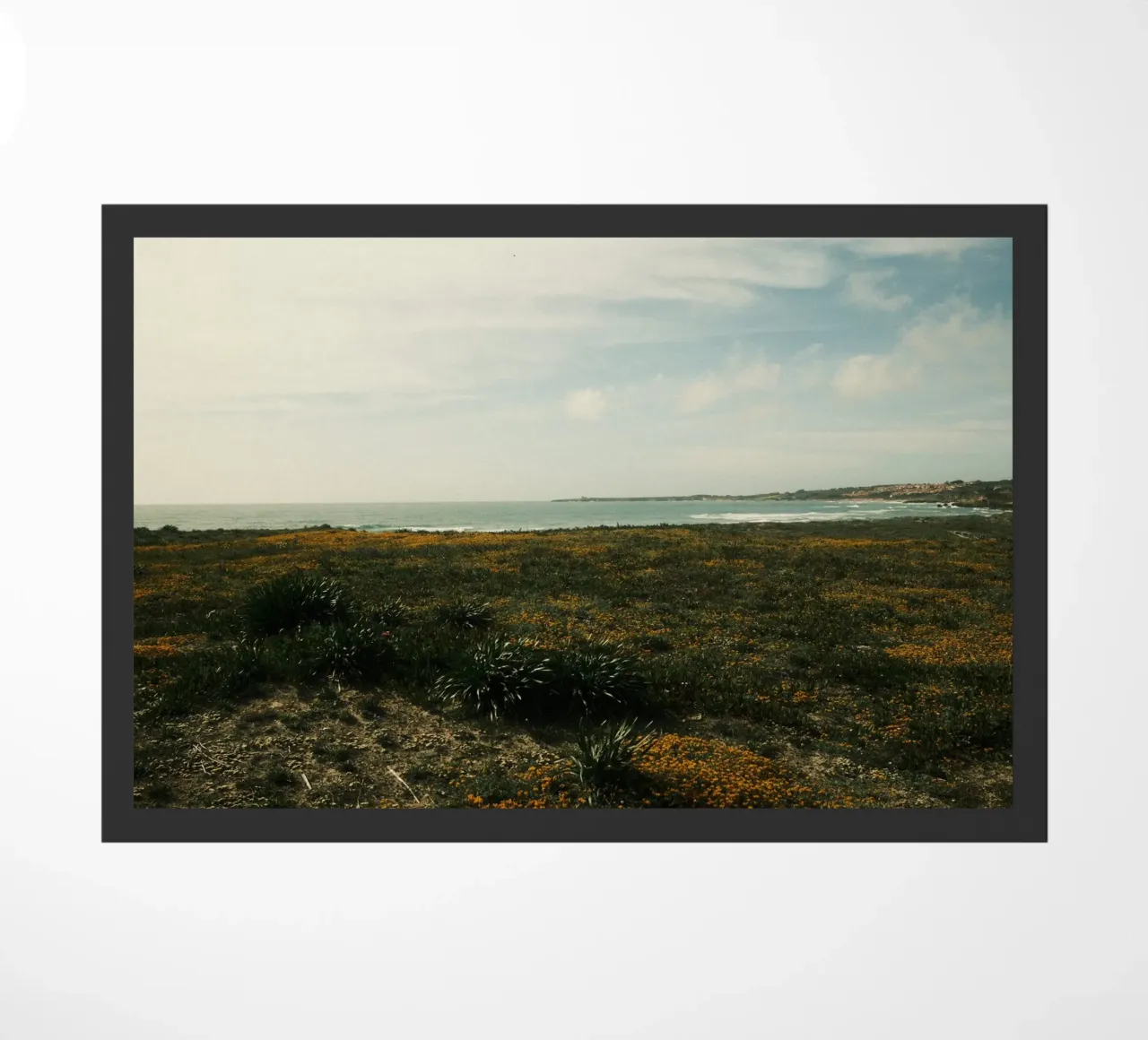 Golden Fields zerbino da FujiPrints