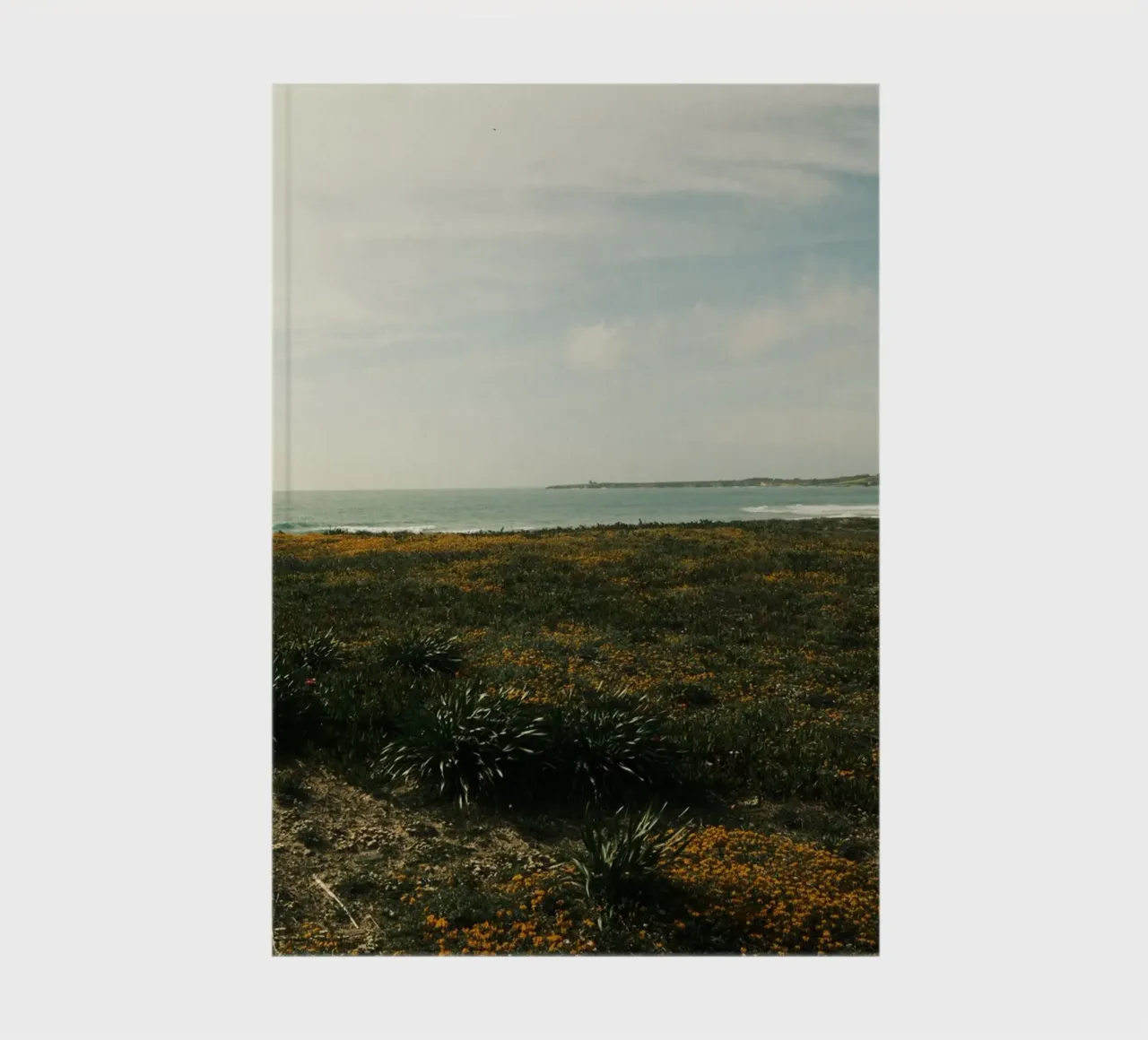 Golden Fields notebook by FujiPrints