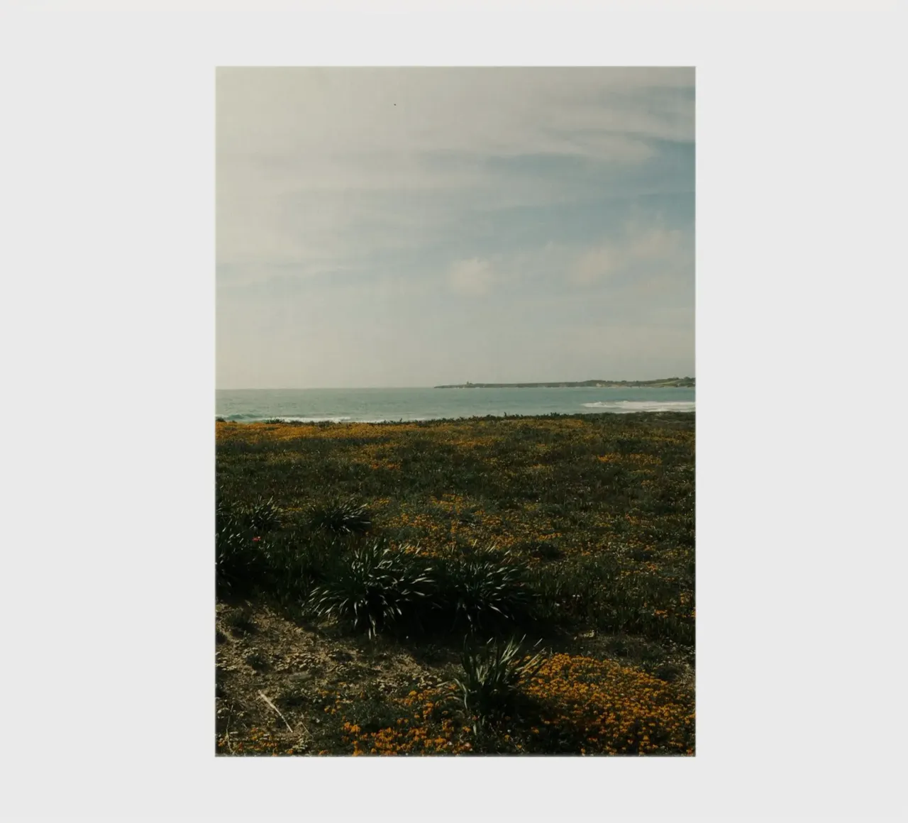 Golden Fields notebook by FujiPrints