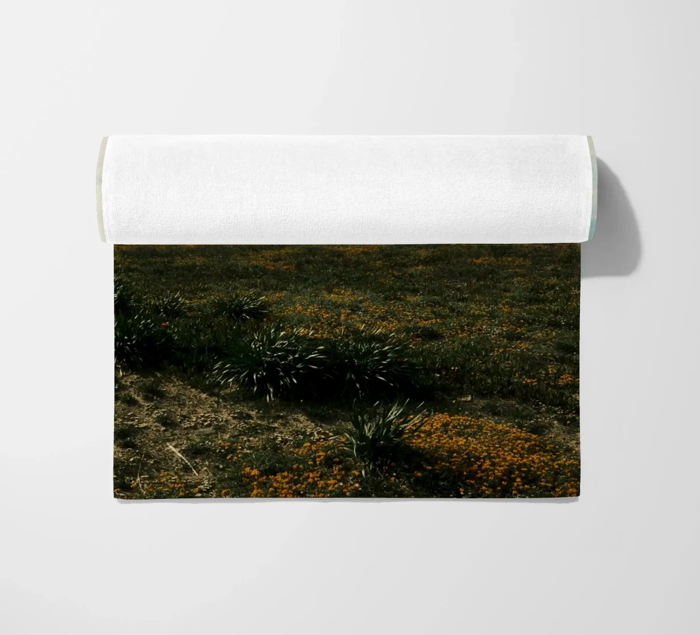 Golden Fields telo mare da FujiPrints