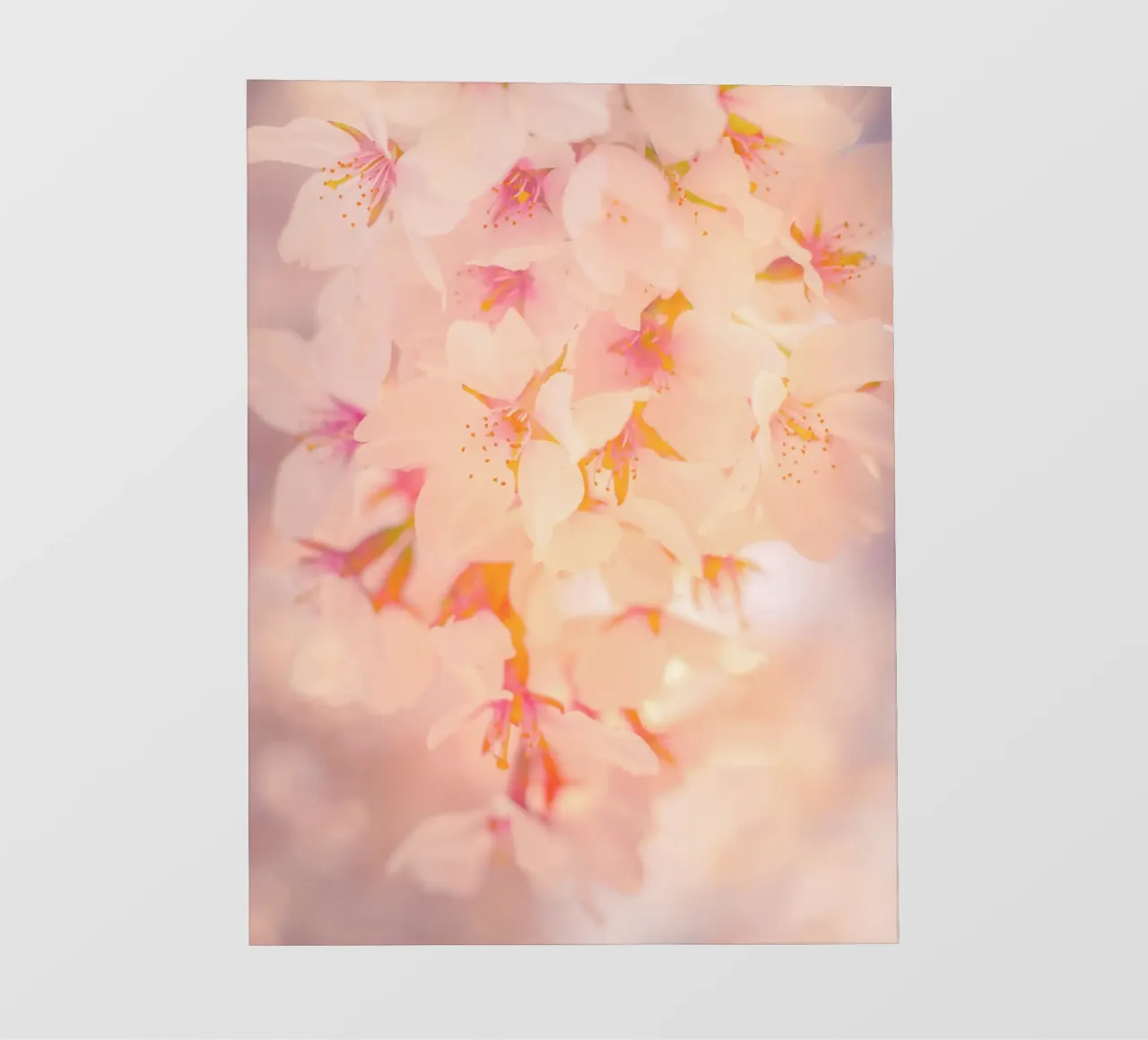 Fiori di ciliegio giapponesi telo in pvc da Dagmar Pels