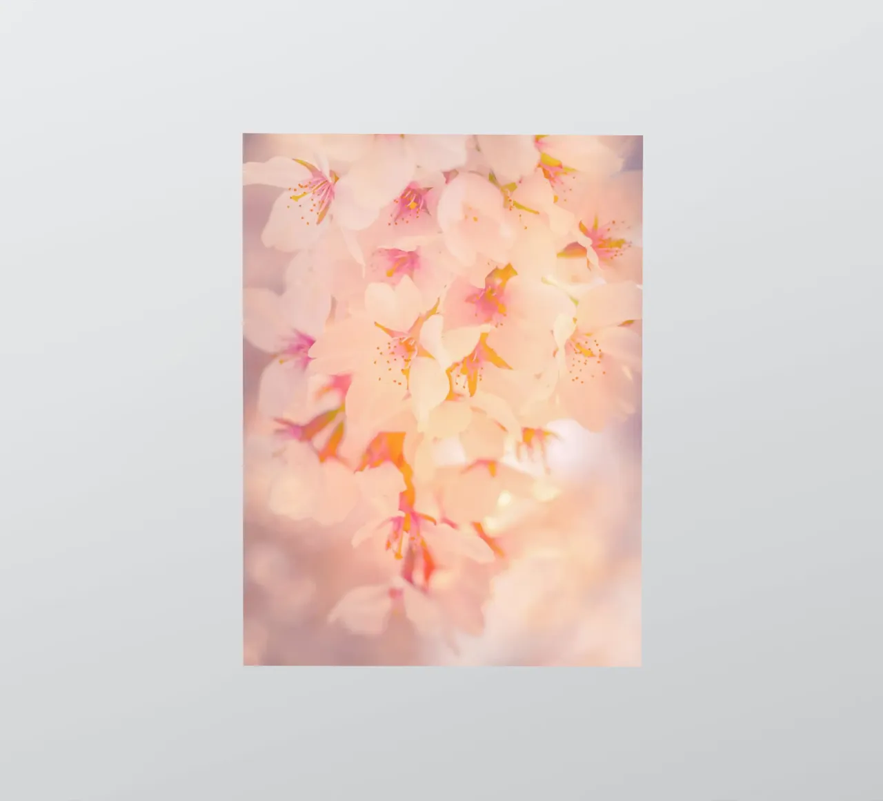 Japanische Kirschblüte Sticker von Dagmar Pels