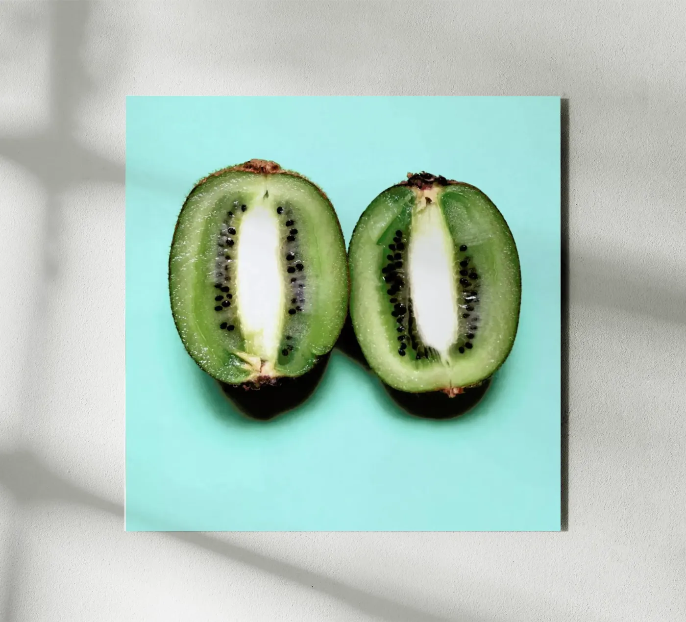 Tropic Thunder pannello forex da Ballack Art House