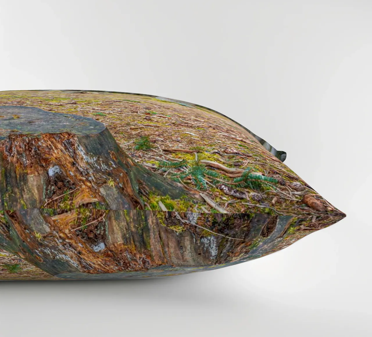 Ceppo di albero in una fitta foresta di conifere cuscino da Marcus Beckert | Fotografie