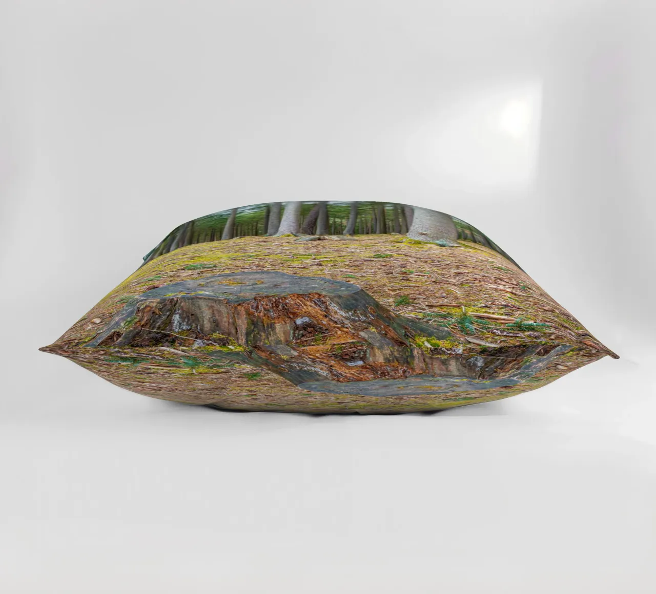 Ceppo di albero in una fitta foresta di conifere cuscino da Marcus Beckert | Fotografie