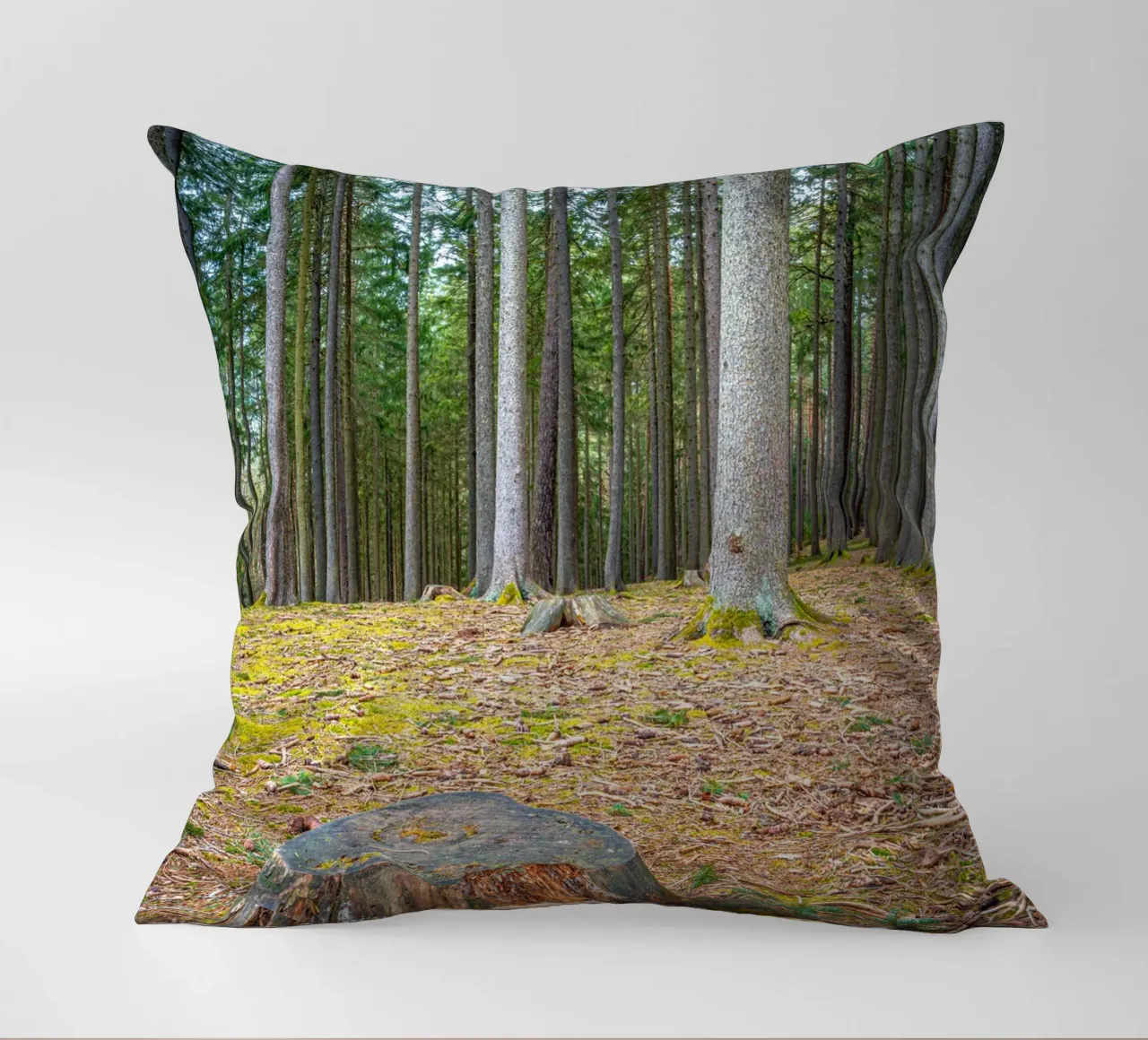 Ceppo di albero in una fitta foresta di conifere cuscino da Marcus Beckert | Fotografie