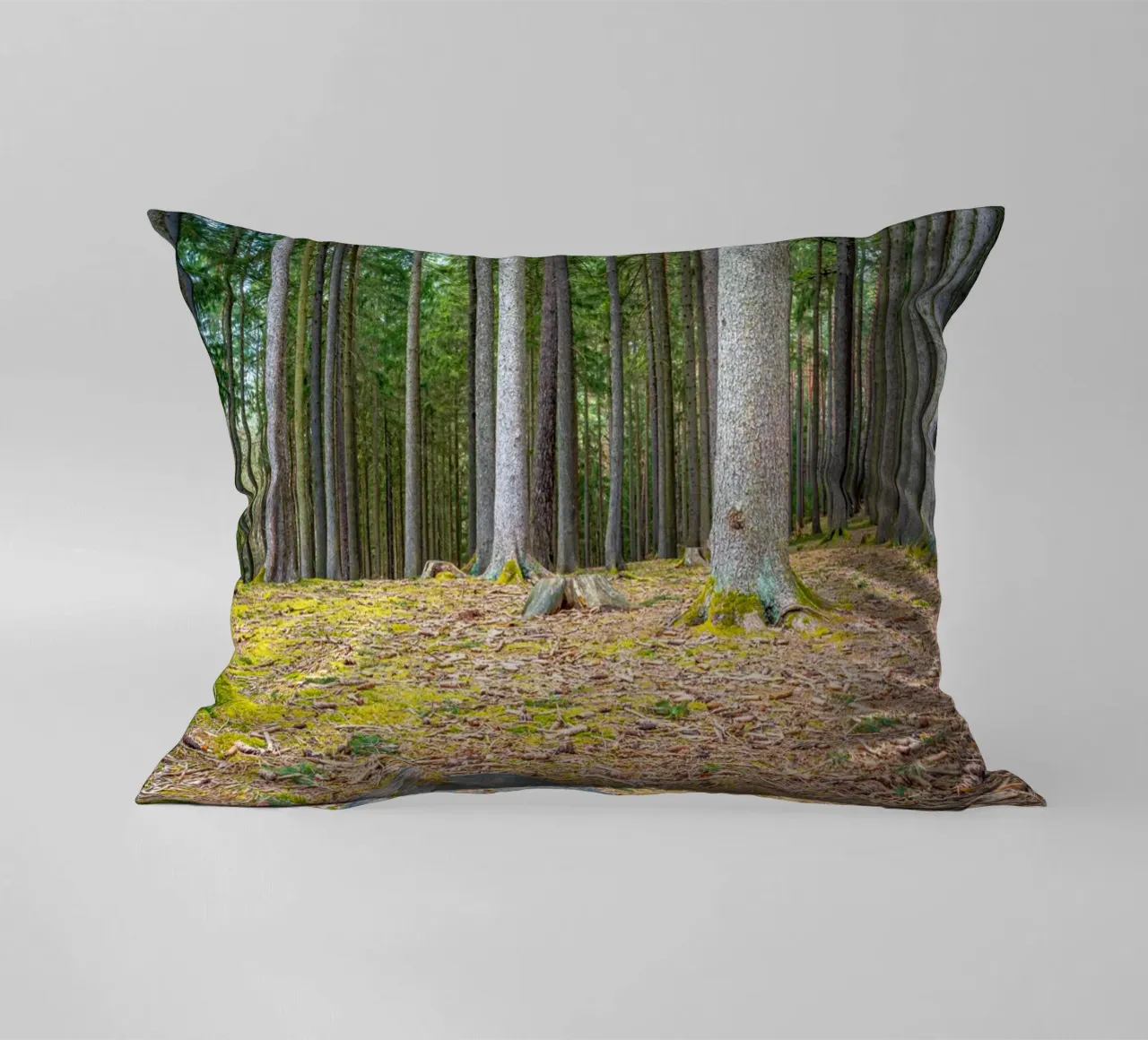 Ceppo di albero in una fitta foresta di conifere cuscino da Marcus Beckert | Fotografie