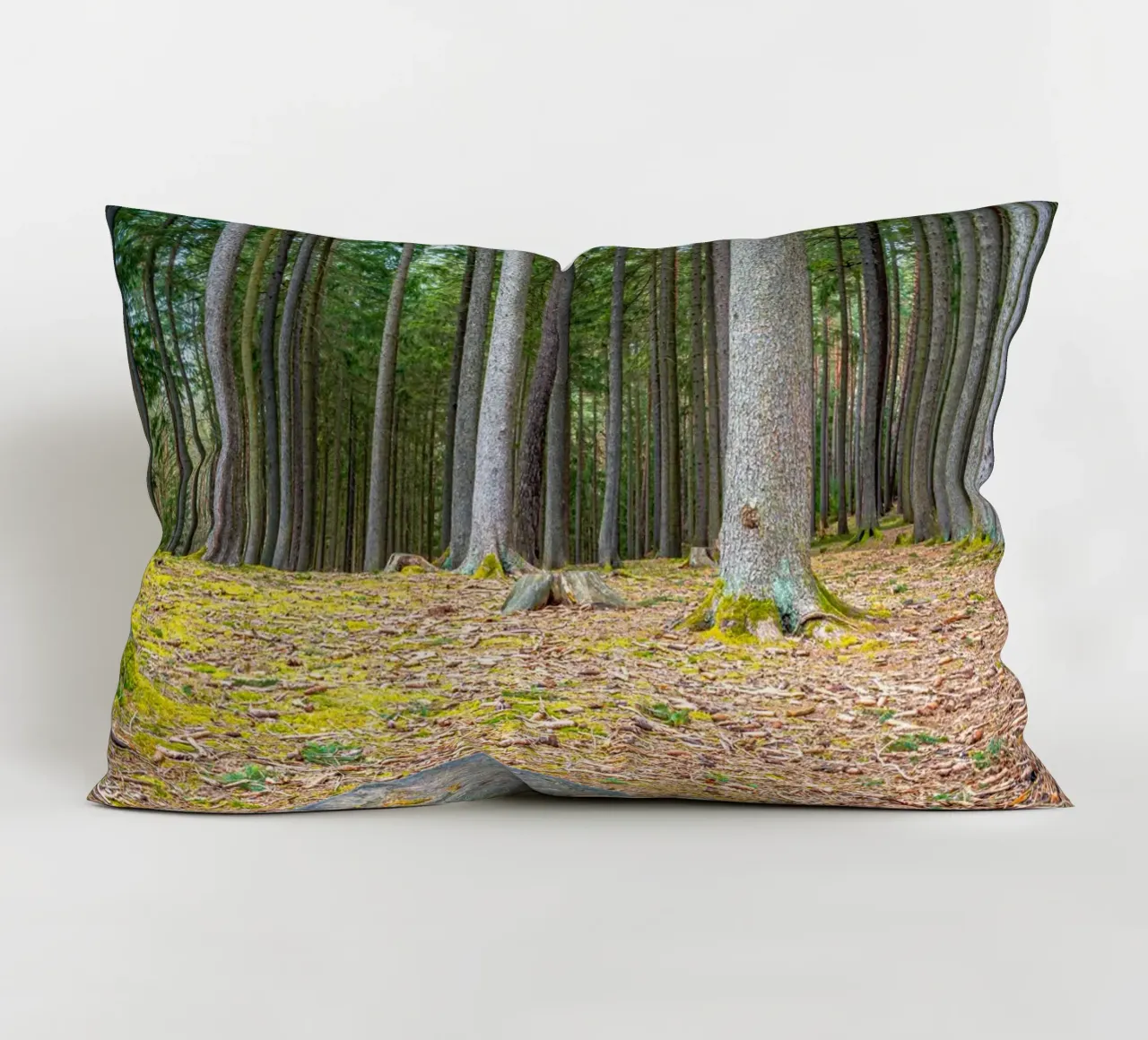 Ceppo di albero in una fitta foresta di conifere cuscino da Marcus Beckert | Fotografie