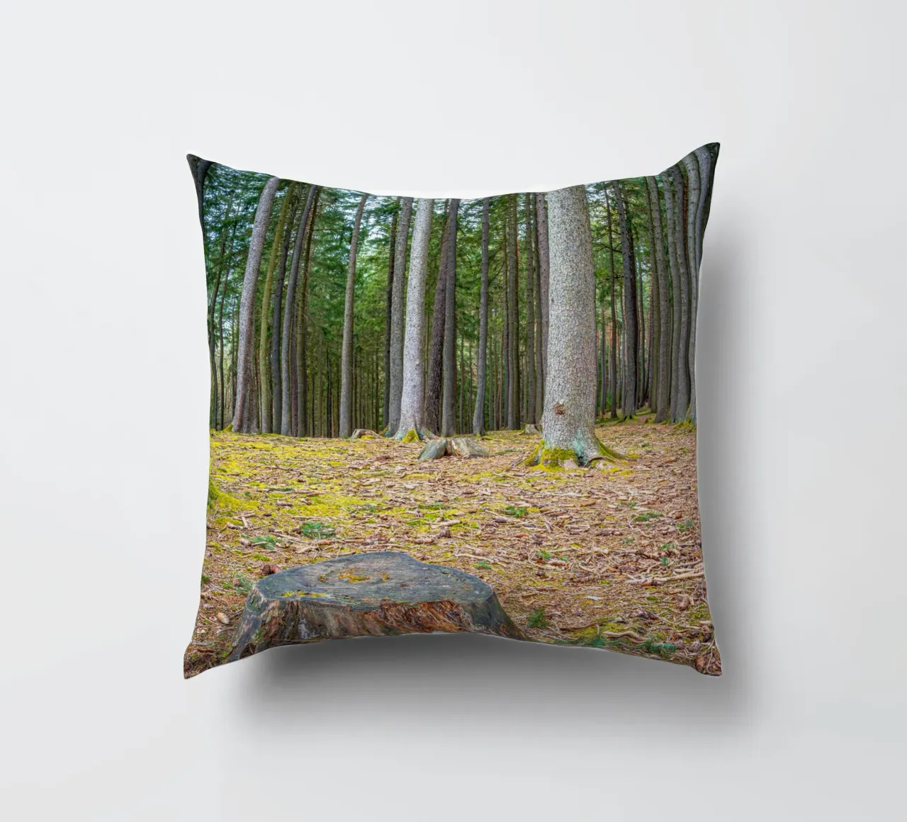 Ceppo di albero in una fitta foresta di conifere cuscino da Marcus Beckert | Fotografie