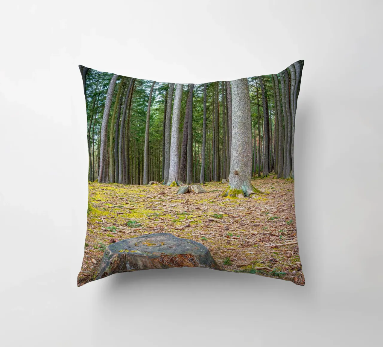 Ceppo di albero in una fitta foresta di conifere cuscino da Marcus Beckert | Fotografie