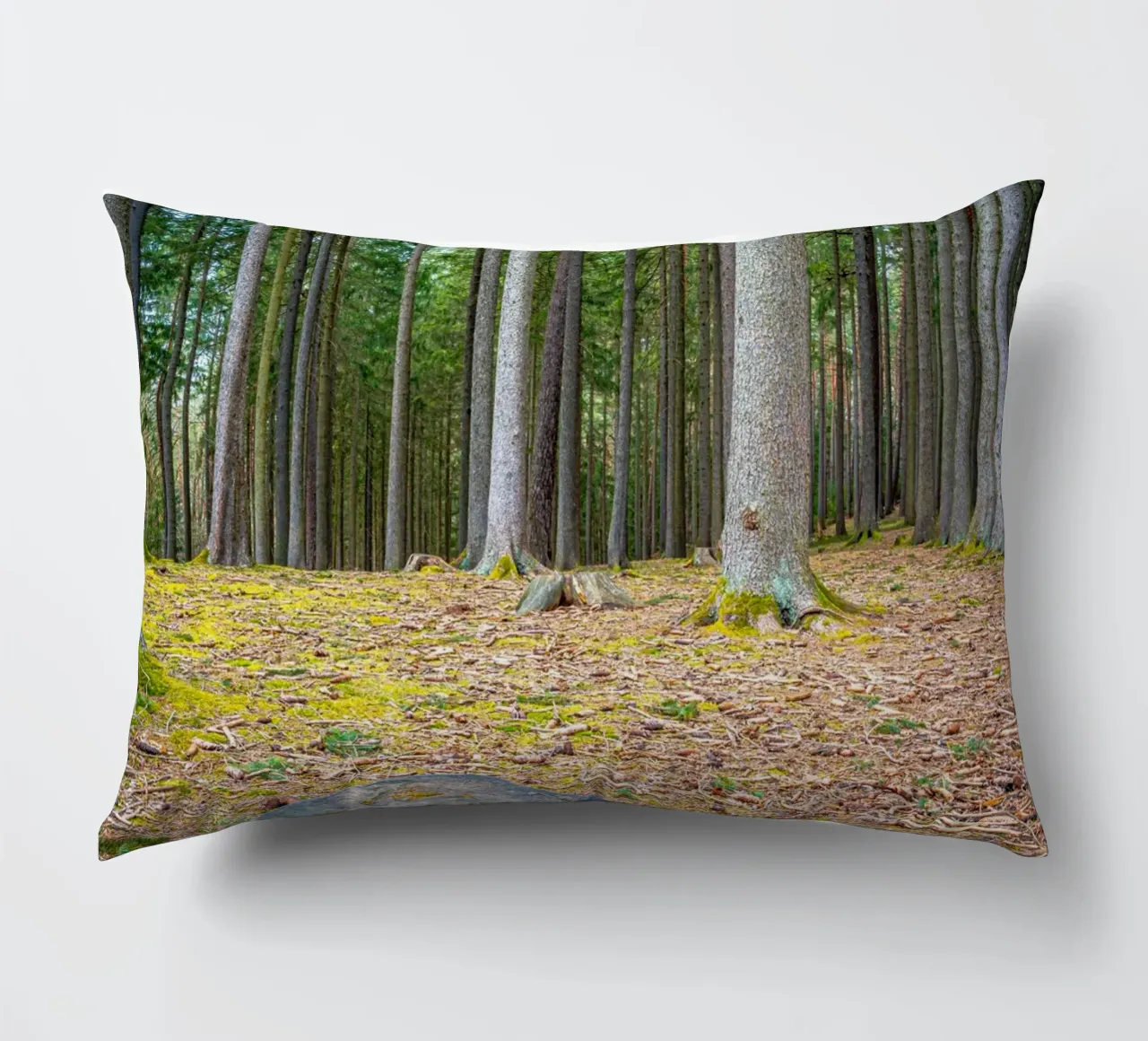 Ceppo di albero in una fitta foresta di conifere cuscino da Marcus Beckert | Fotografie