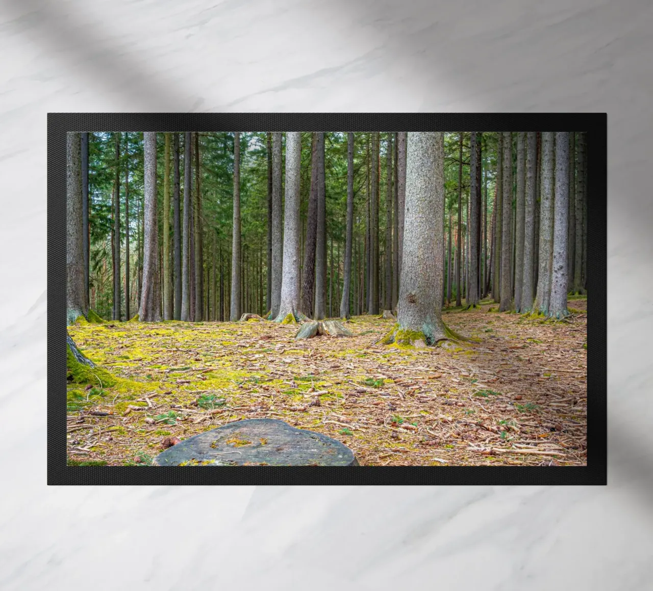 Ceppo di albero in una fitta foresta di conifere zerbino da Marcus Beckert | Fotografie