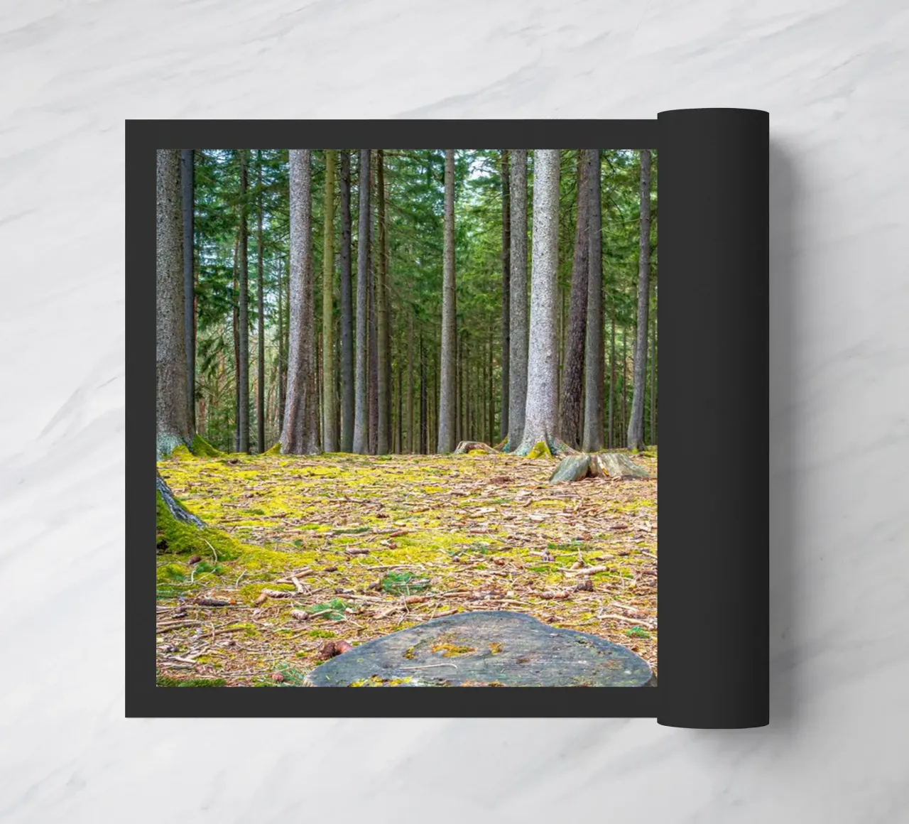 Ceppo di albero in una fitta foresta di conifere zerbino da Marcus Beckert | Fotografie