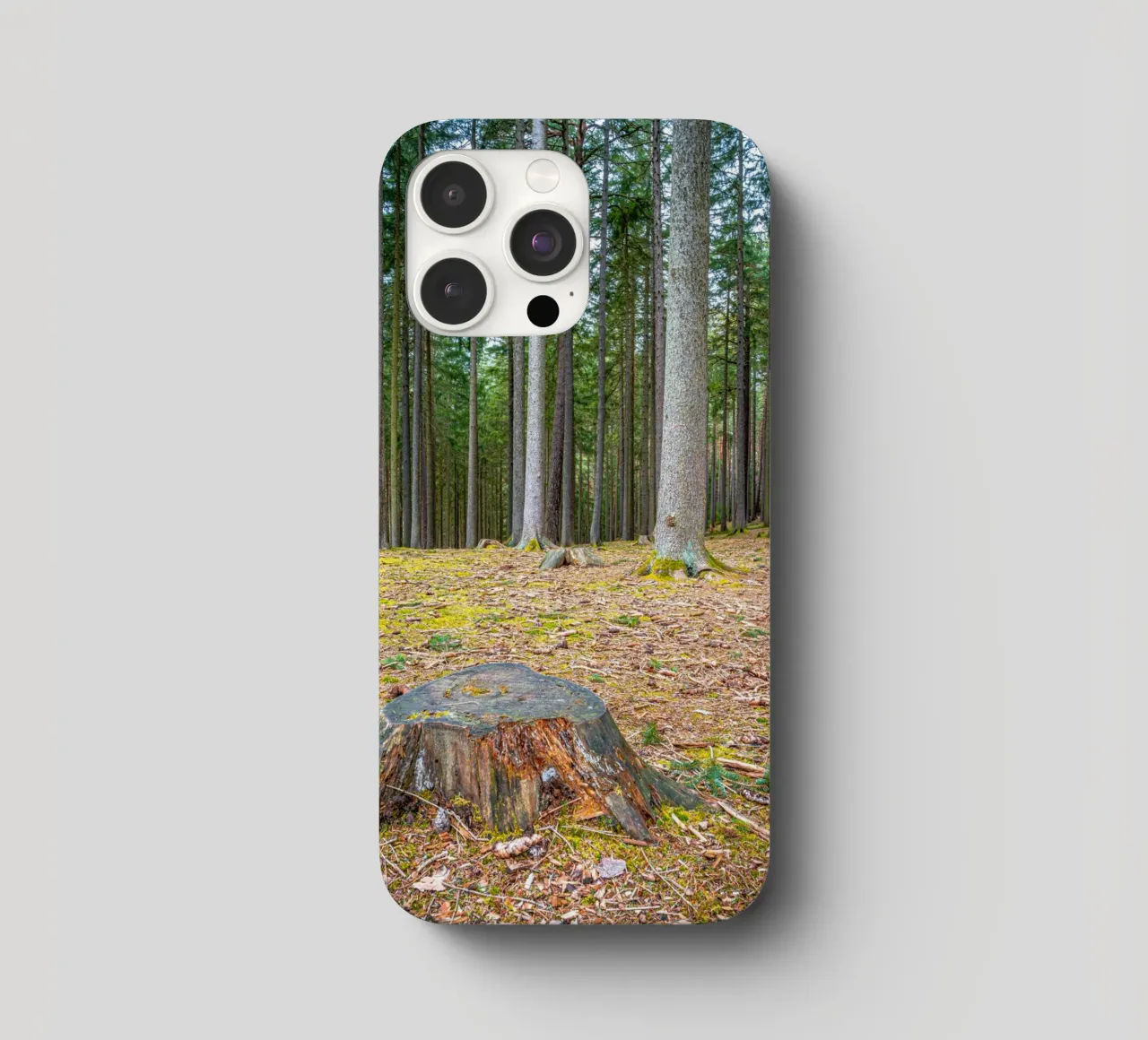 Ceppo di albero in una fitta foresta di conifere cover iphone da Marcus Beckert | Fotografie