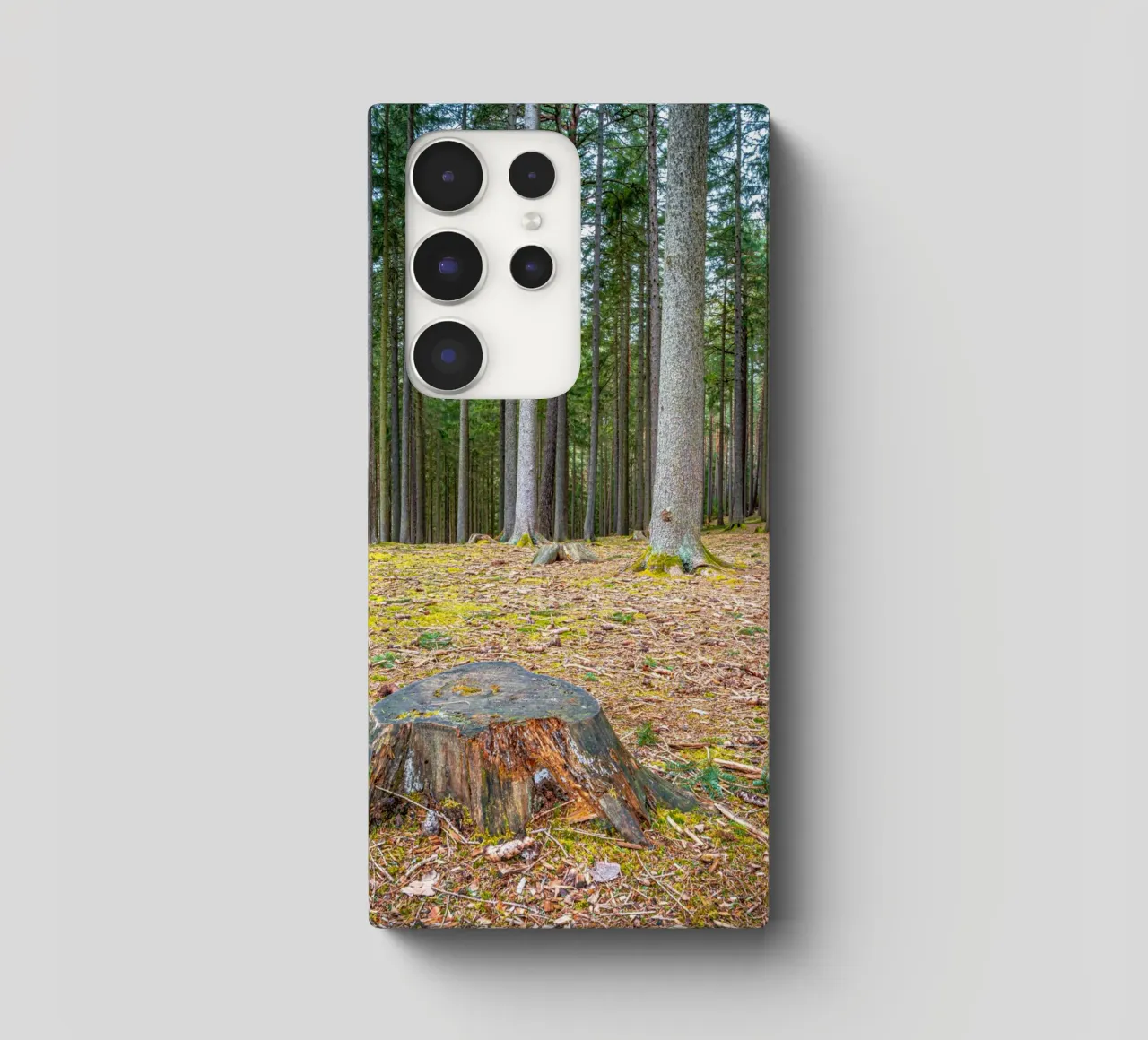 Ceppo di albero in una fitta foresta di conifere cover samsung da Marcus Beckert | Fotografie