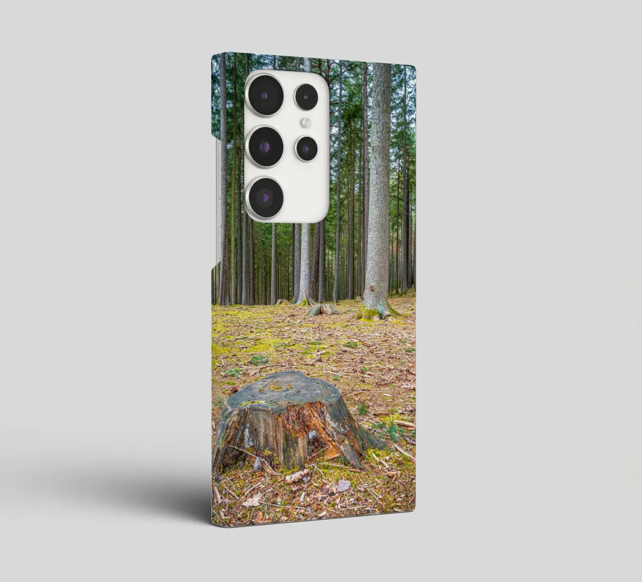 Ceppo di albero in una fitta foresta di conifere cover samsung da Marcus Beckert | Fotografie