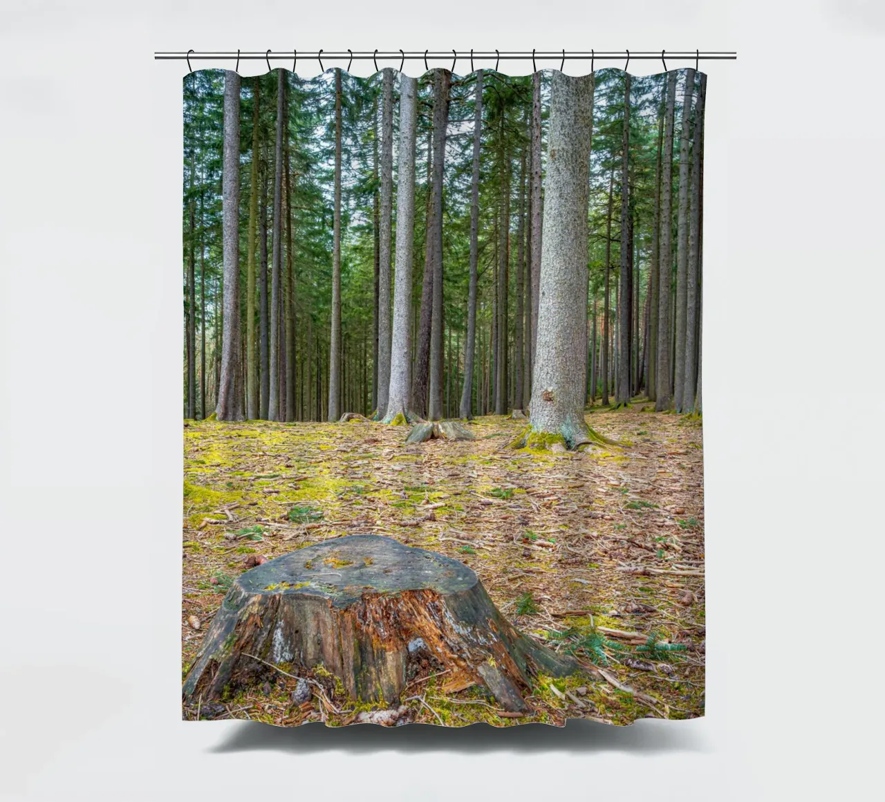 Ceppo di albero in una fitta foresta di conifere tenda da doccia da Marcus Beckert | Fotografie