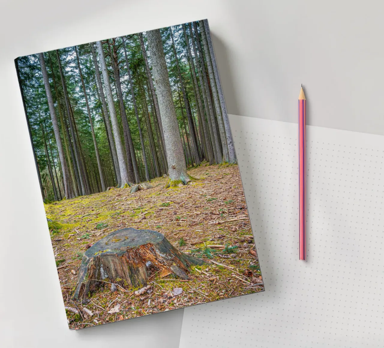 Tree stump in a dense coniferous forest notebook by Marcus Beckert | Fotografie
