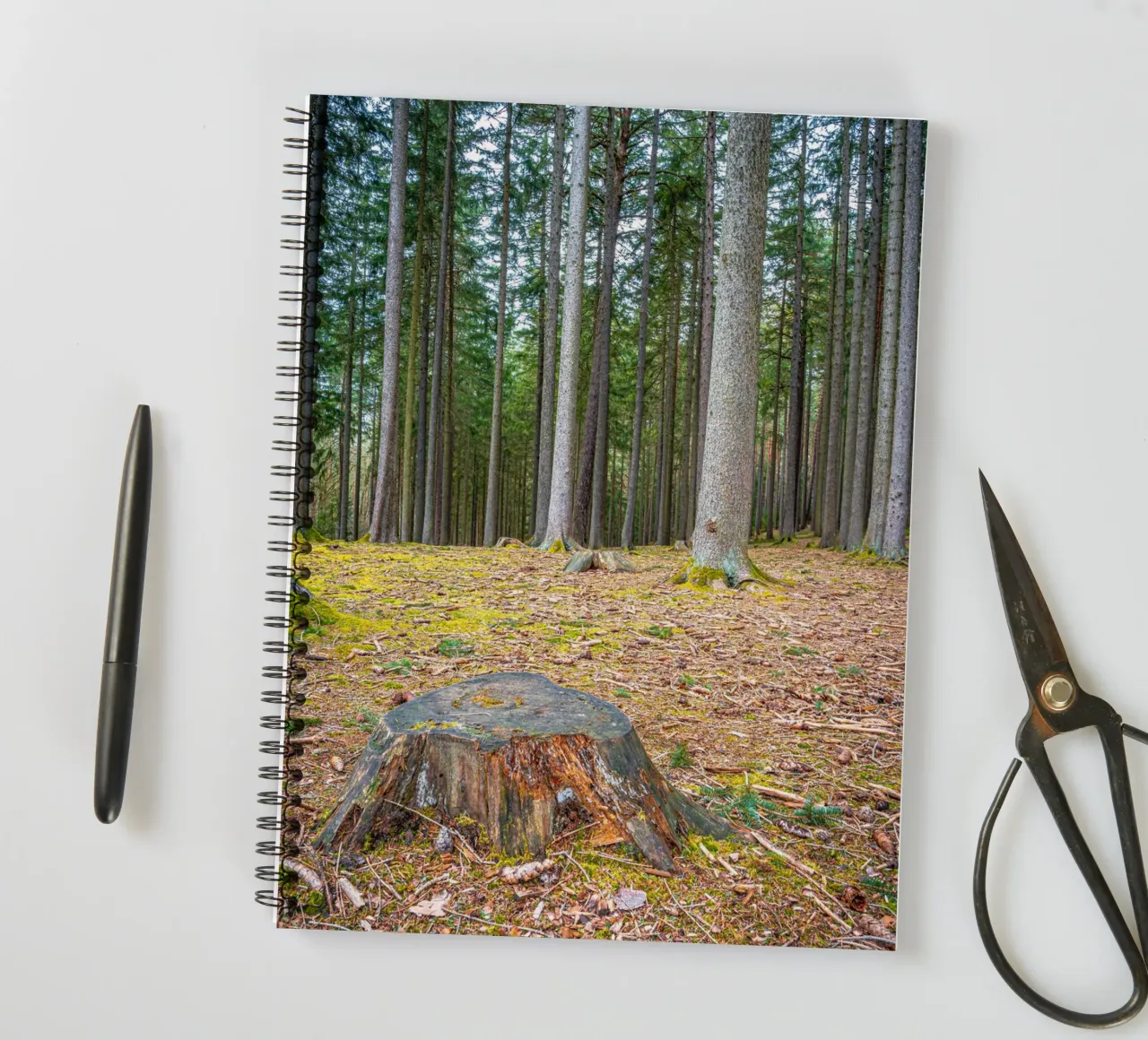 Tree stump in a dense coniferous forest spiral notebook by Marcus Beckert | Fotografie